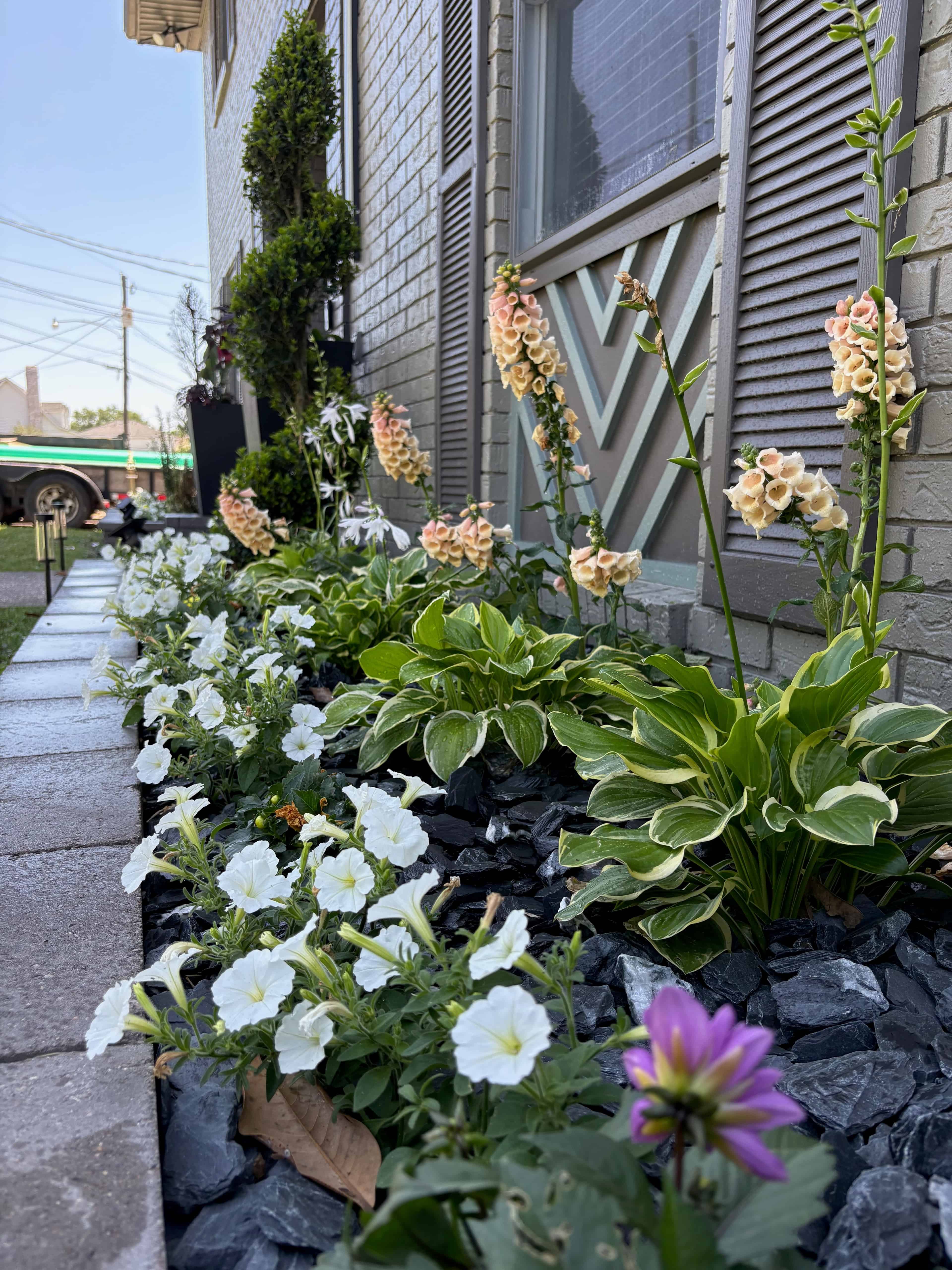 Plant Nursery Services image