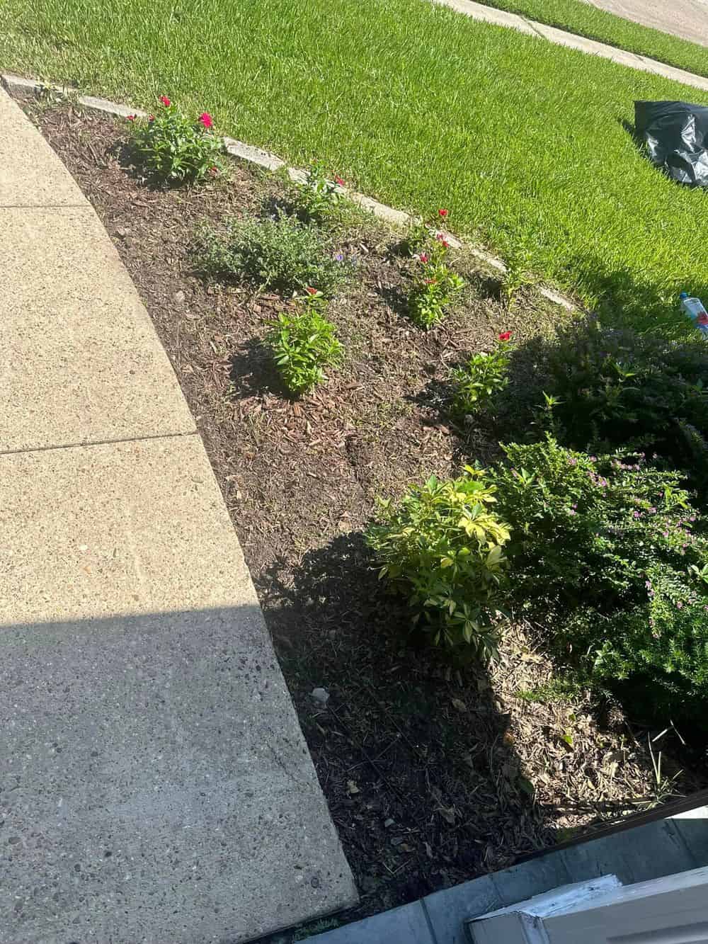 Patios & Walkways Services image