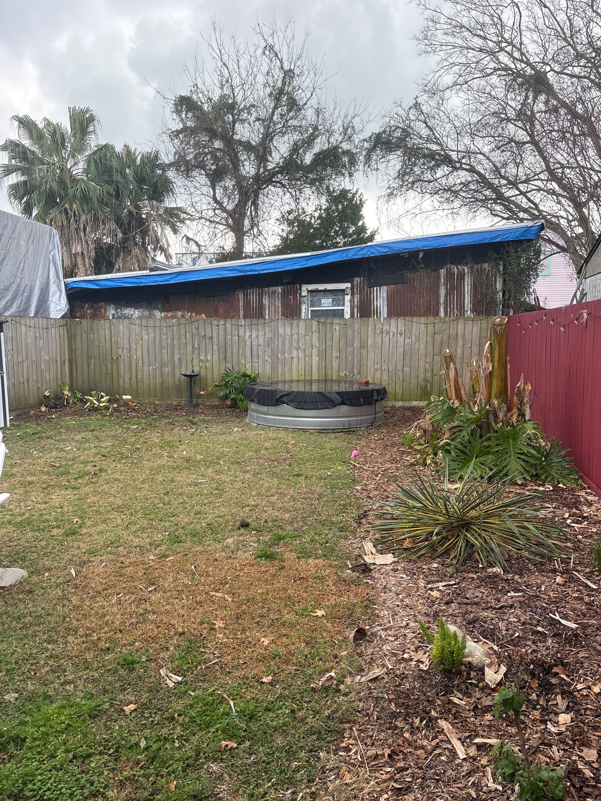 Gallery photos for Backyard Winter Clean-Up by Nicky's Nice Plants: Image #2