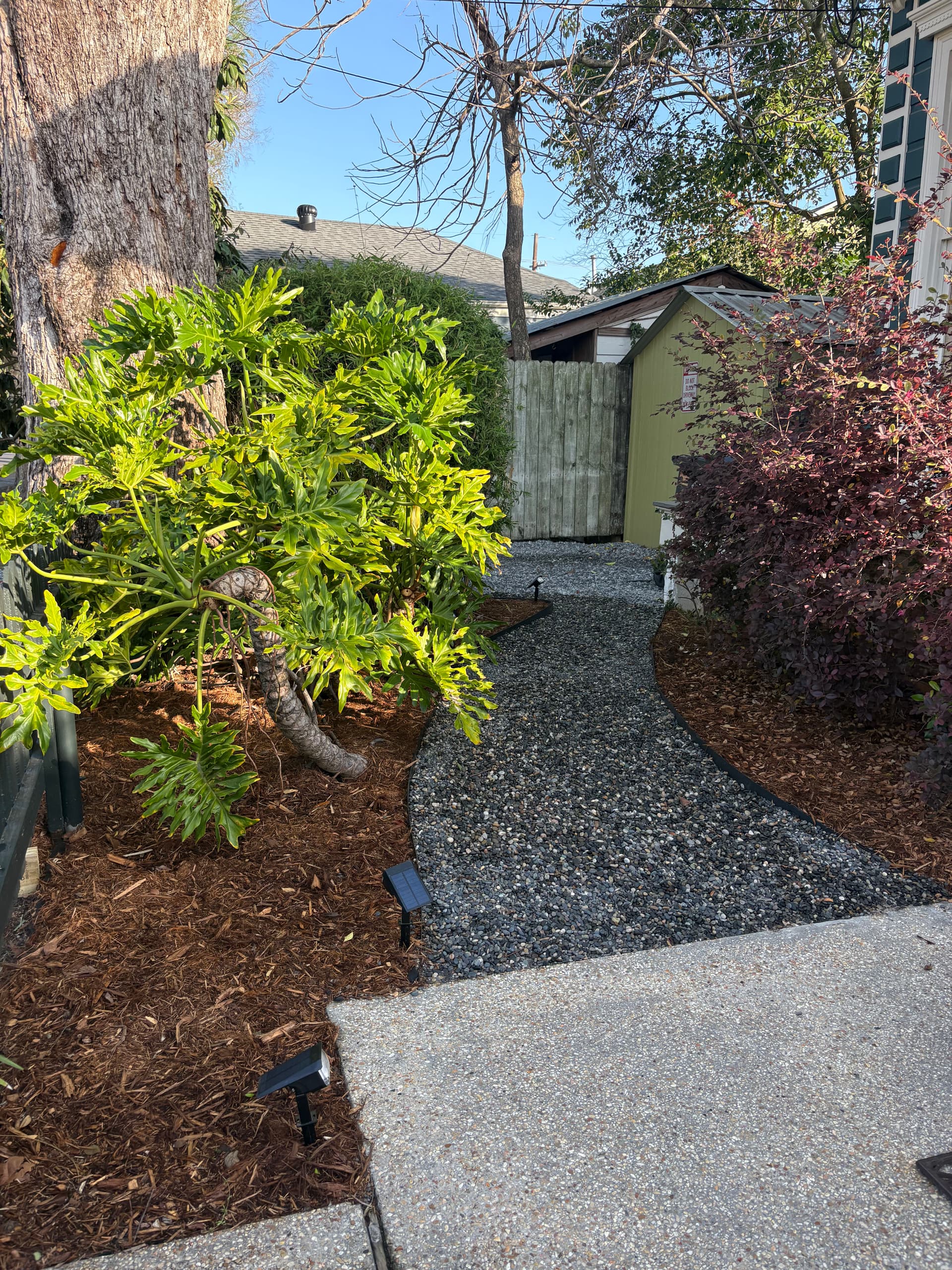 Gallery photos for Uptown Oasis Revamp With New Liriope Front Garden: Image #1