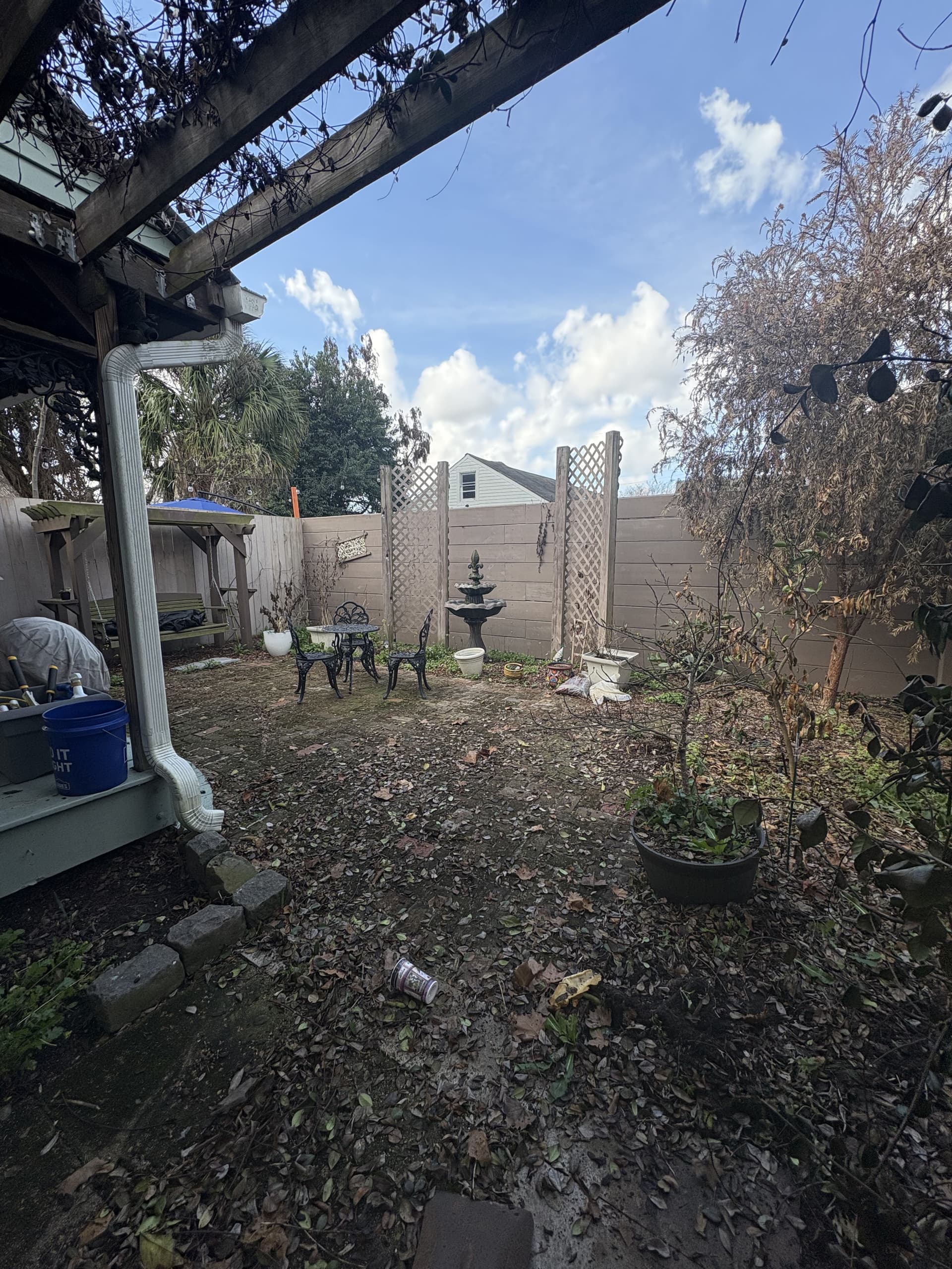Bywater Courtyard Makeover from Cluttered to Curated image