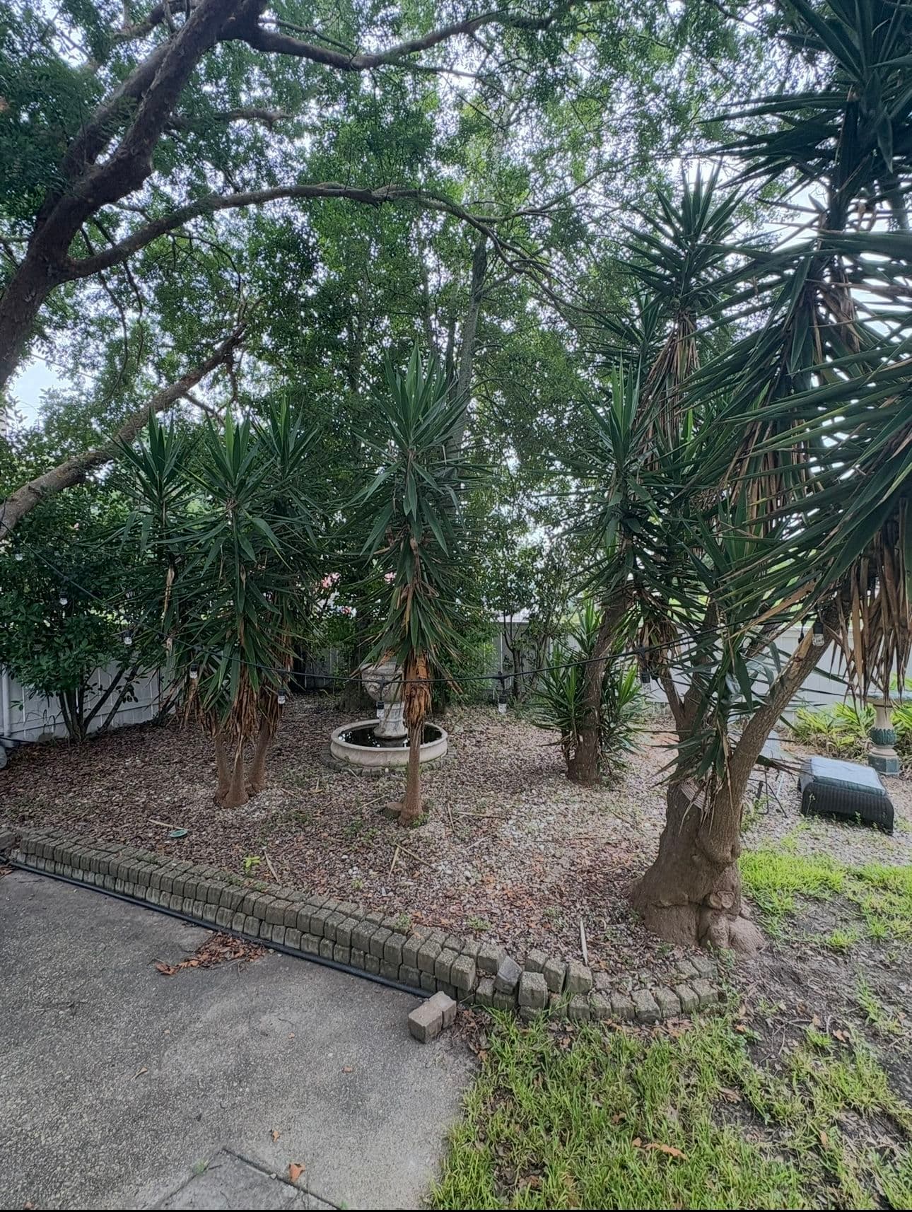 Gallery photos for Backyard Makeover in New Orleans: Image #5