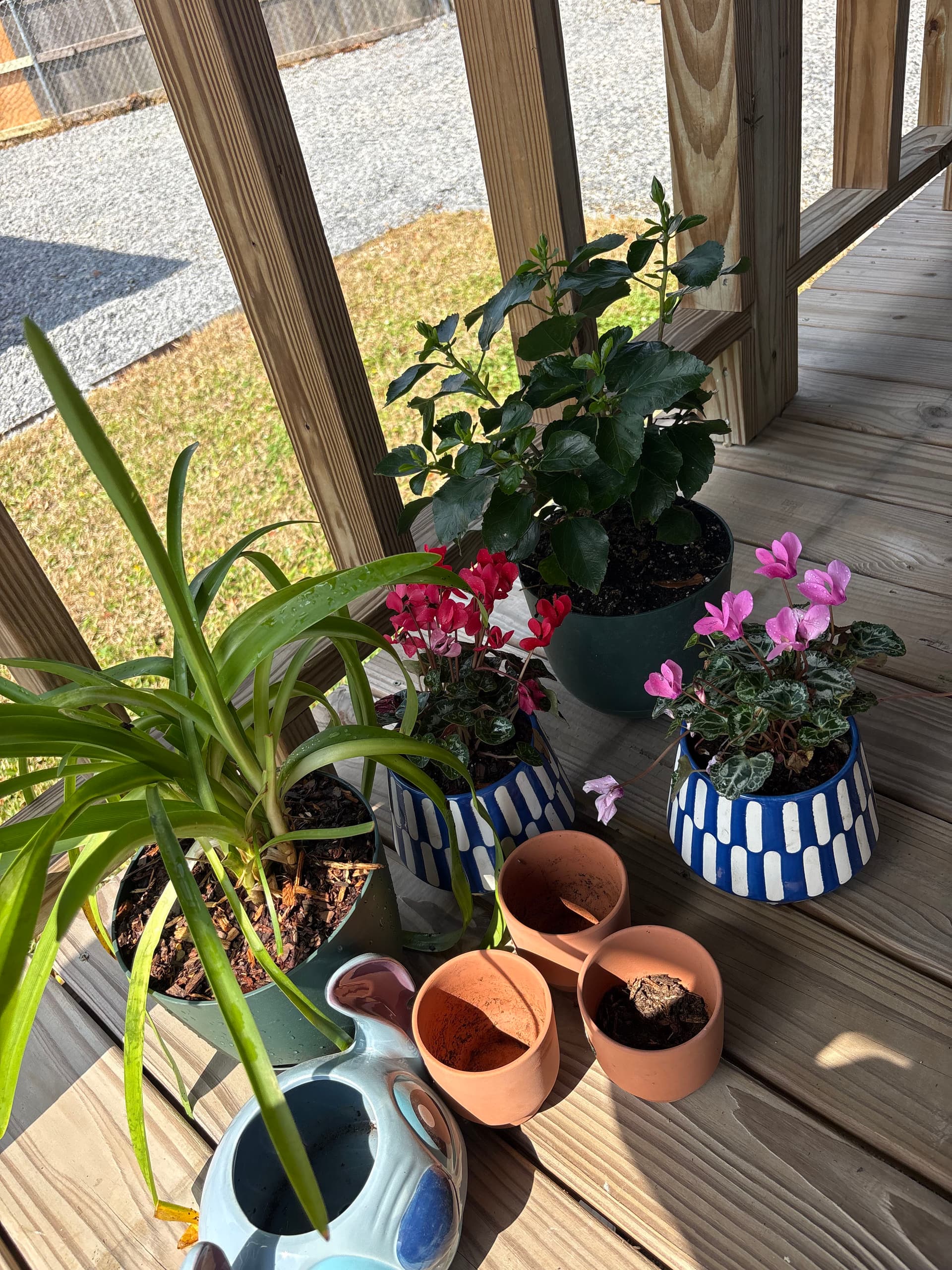 Gallery photos for Turning Small Spaces into Leafy Oases: Image #5