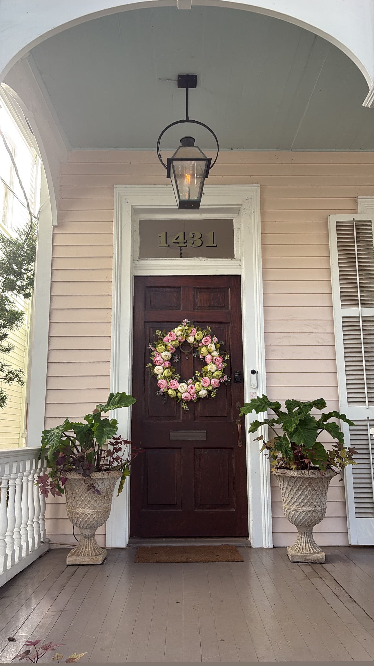Lush Outdoor Makeover with Nicky's Nice Plants image