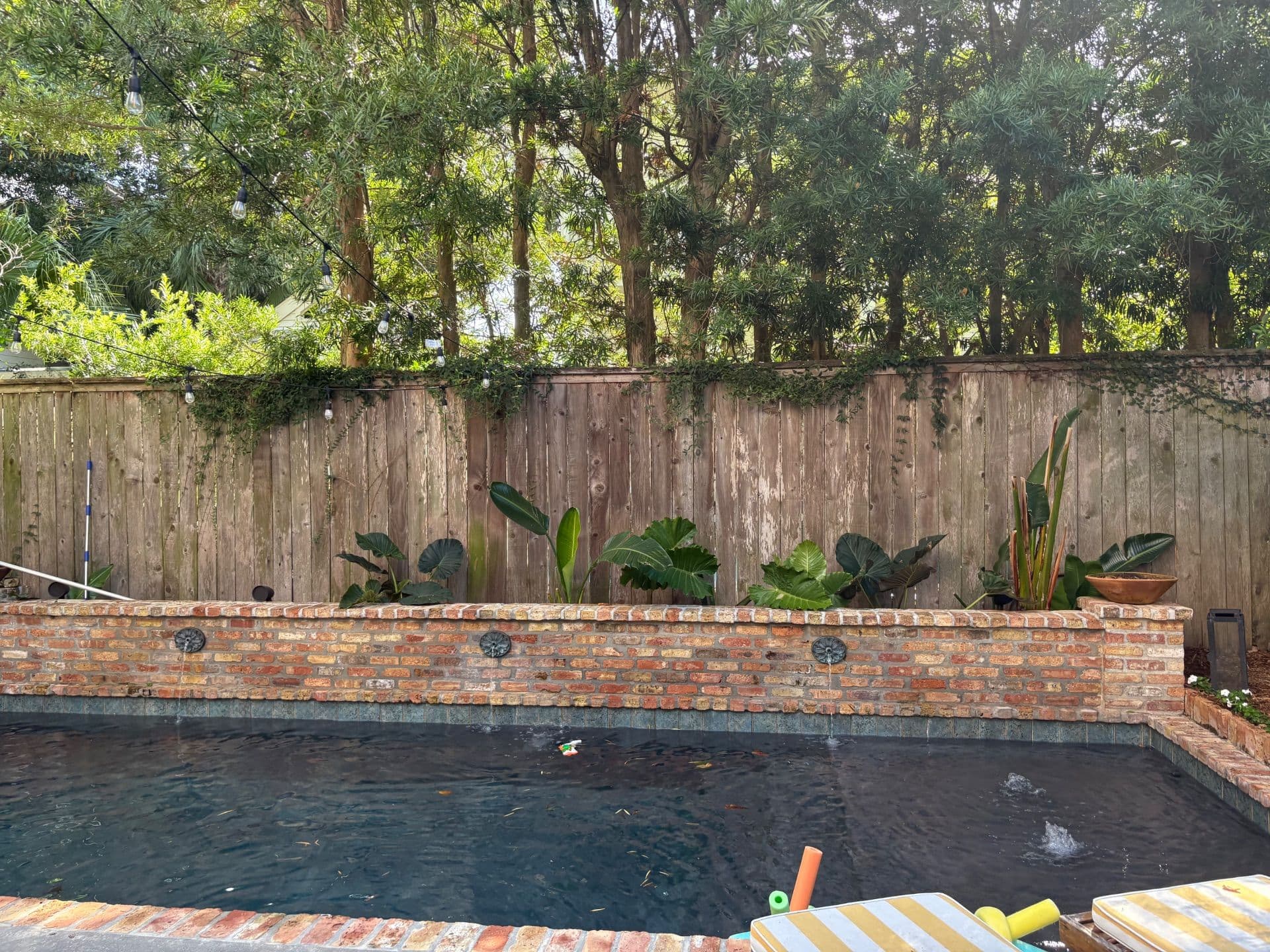 Gallery photos for Lush Outdoor Makeover with Nicky's Nice Plants: Image #1