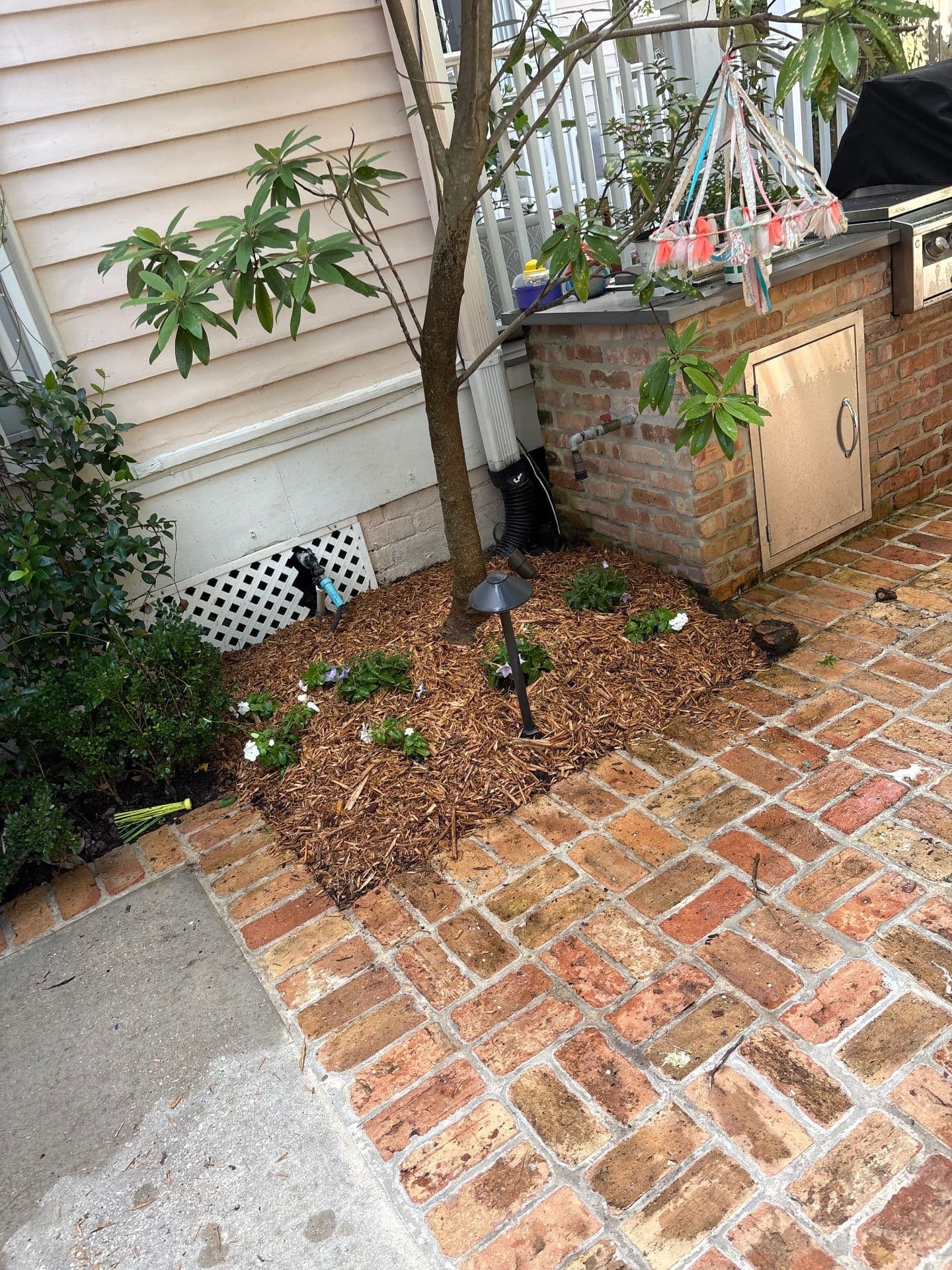 Gallery photos for Lush Outdoor Makeover with Nicky's Nice Plants: Image #2