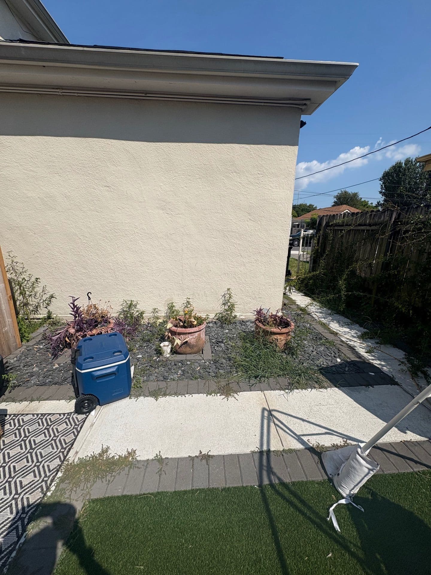 Gallery photos for Transform Your Outdoor Space with Nicky's Nice Plants: Image #2
