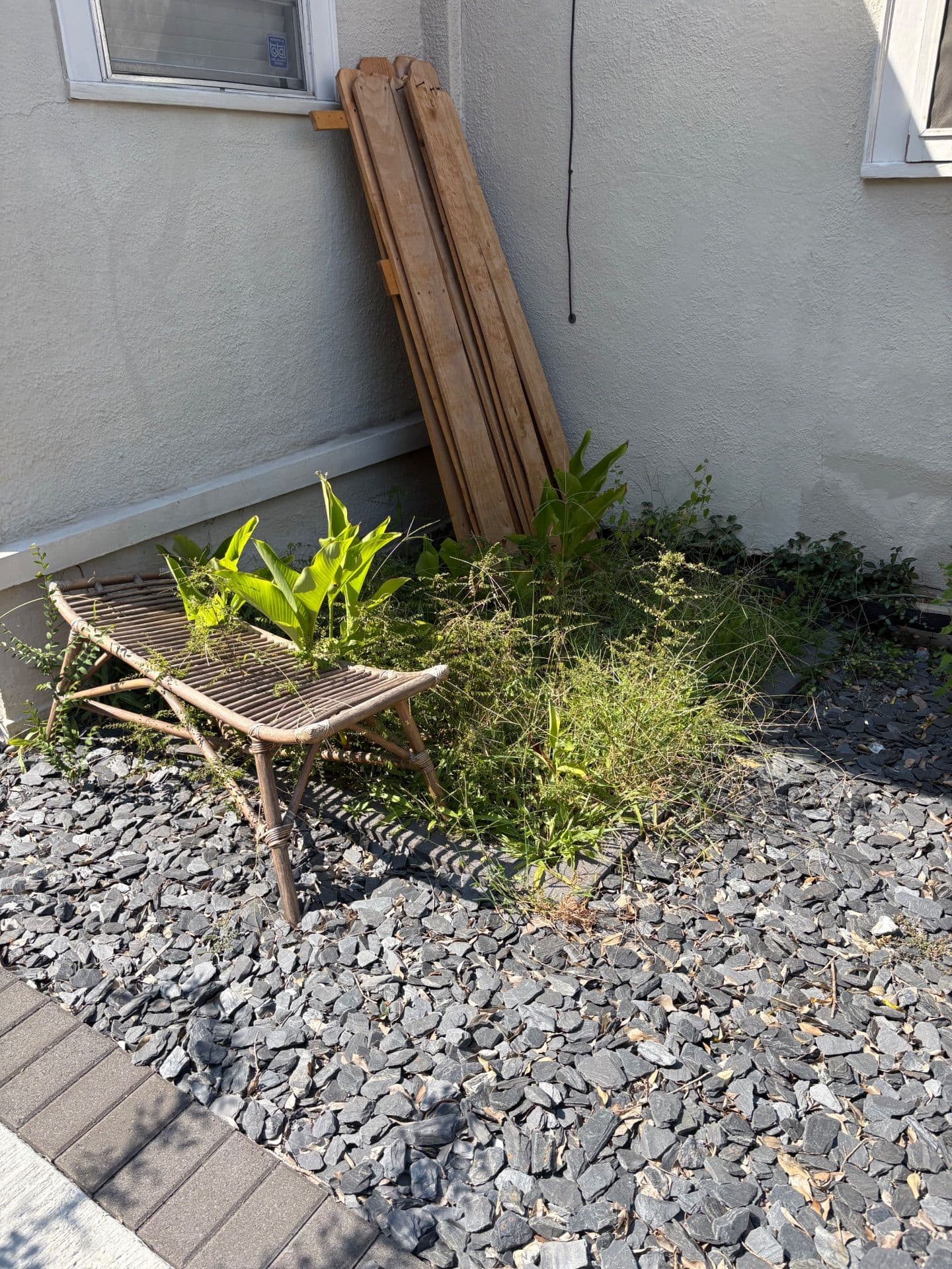 Gallery photos for Transform Your Outdoor Space with Nicky's Nice Plants: Image #1