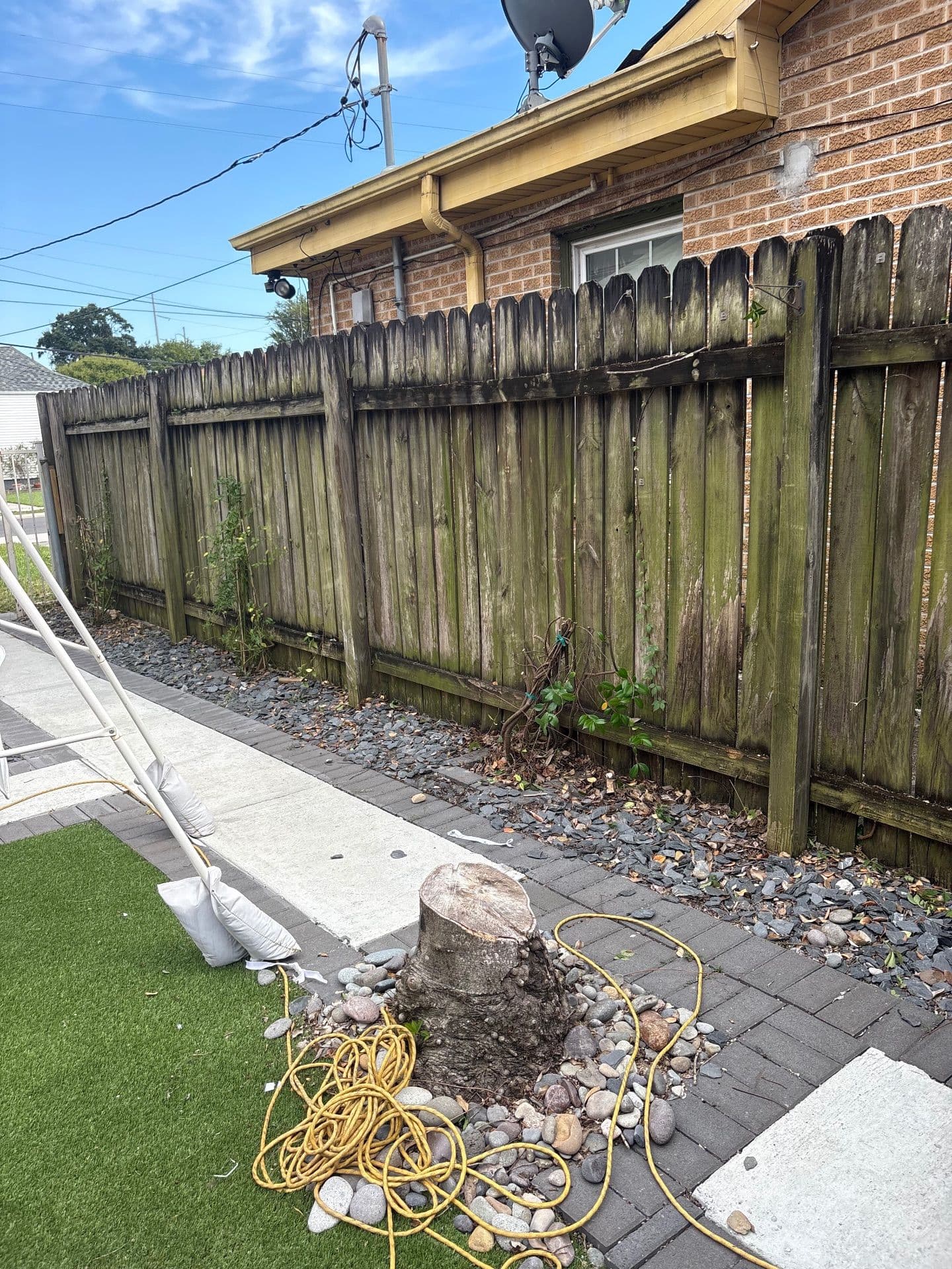 Gallery photos for Transform Your Outdoor Space with Nicky's Nice Plants: Image #5
