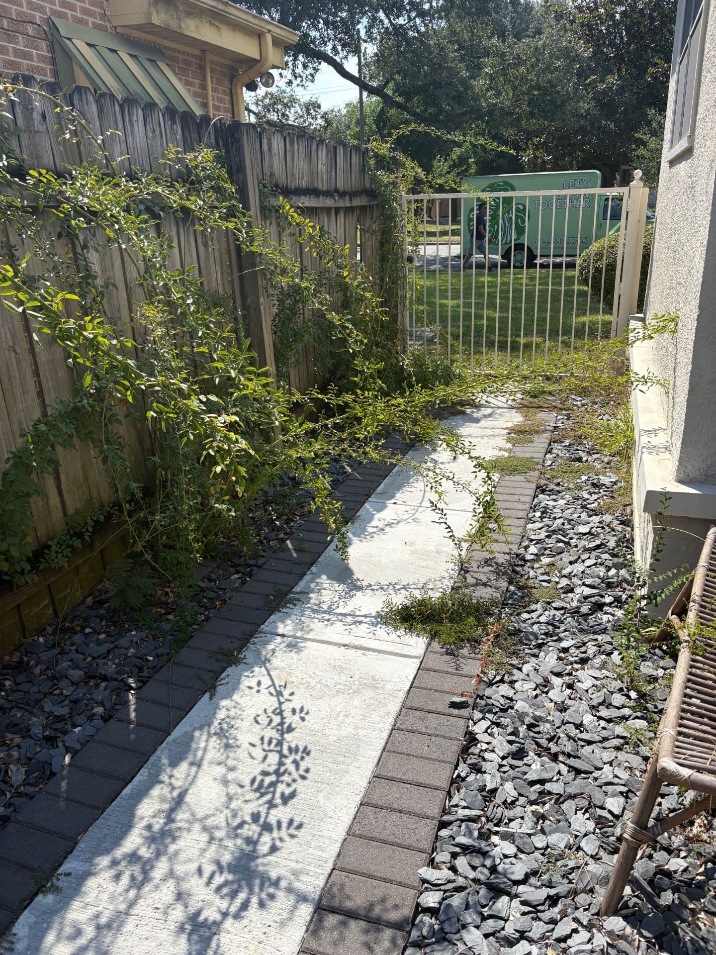 Gallery photos for Transform Your Outdoor Space with Nicky's Nice Plants: Image #6