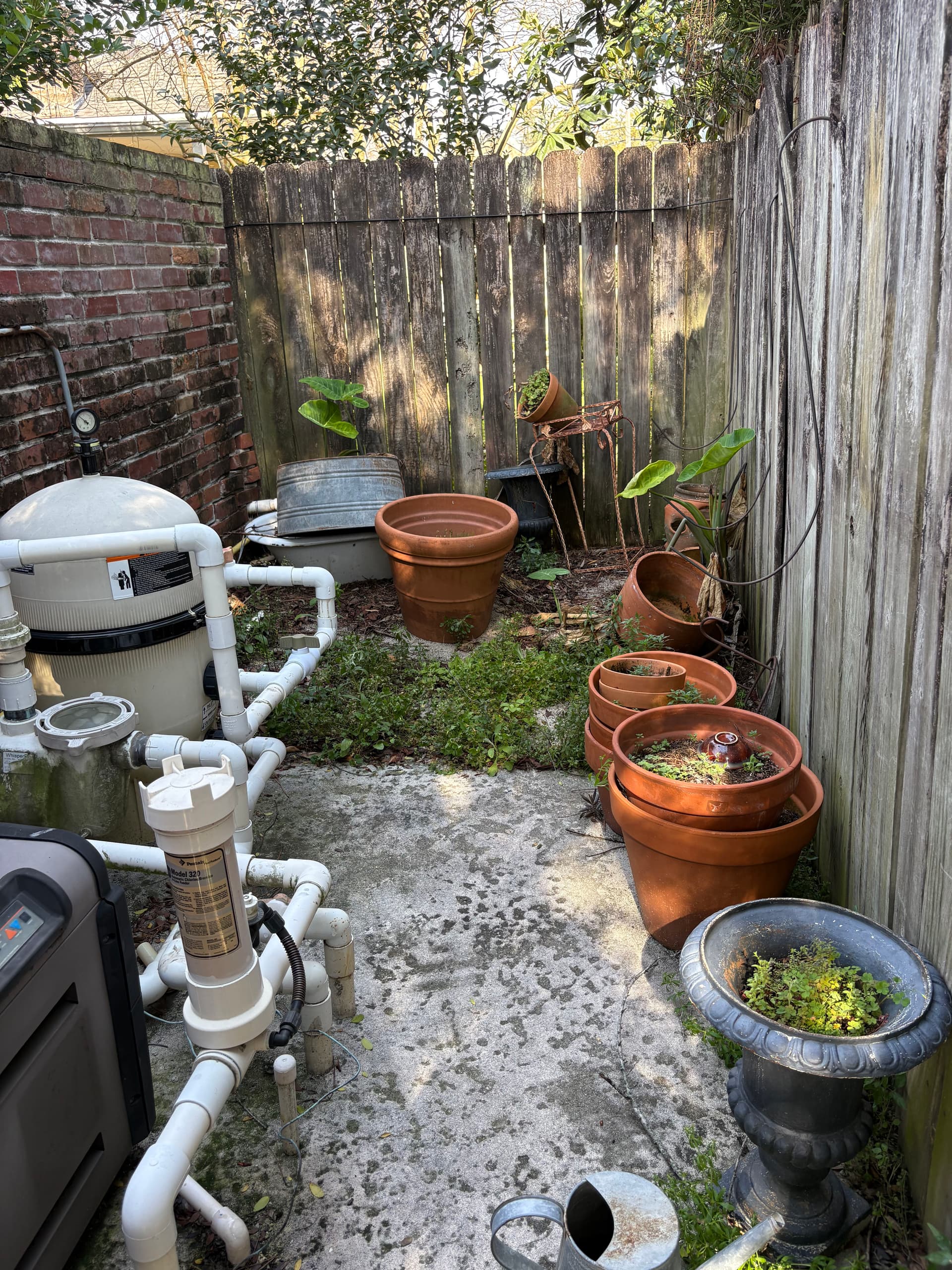 Gallery photos for Uptown Oasis Revamp With New Liriope Front Garden: Image #2