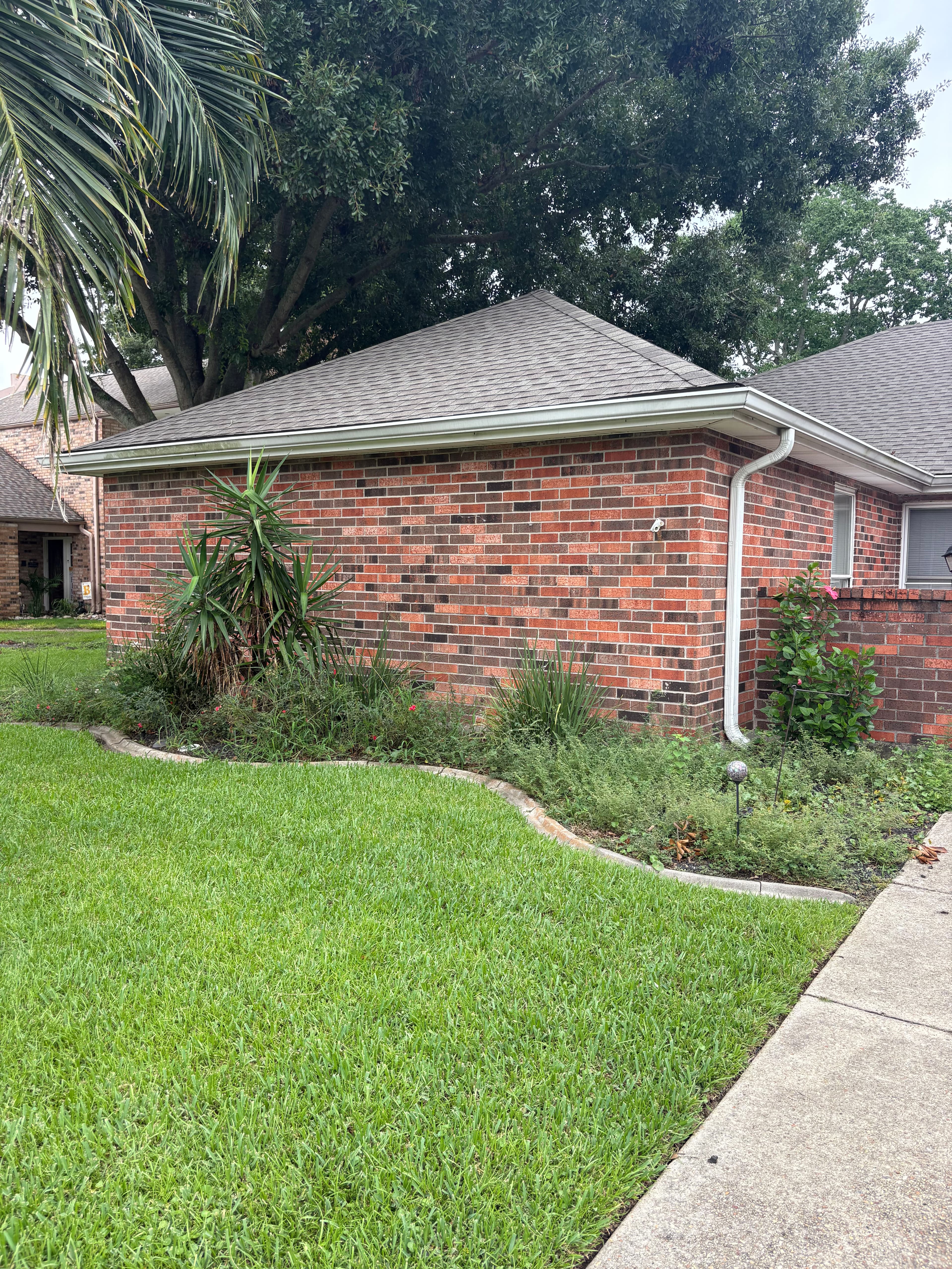 Project Front Garden Bed Makeover in Woodlake Estates image