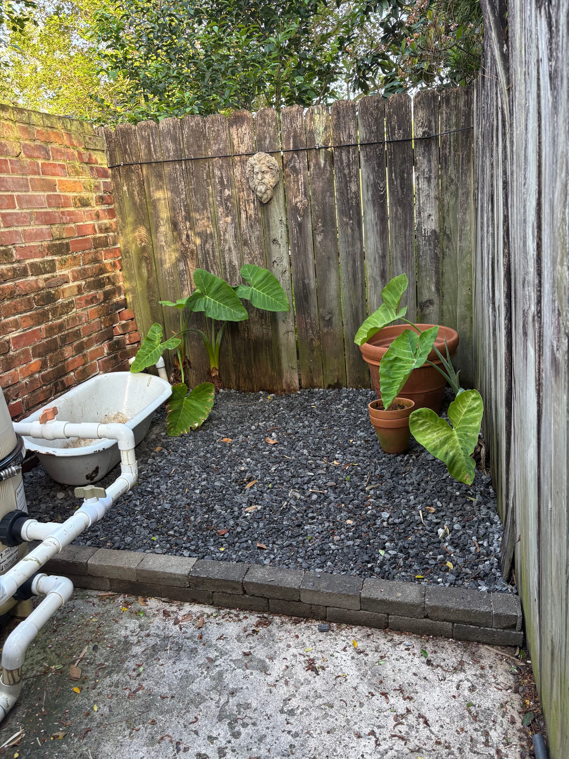 Gallery photos for Uptown Oasis Revamp With New Liriope Front Garden: Image #3