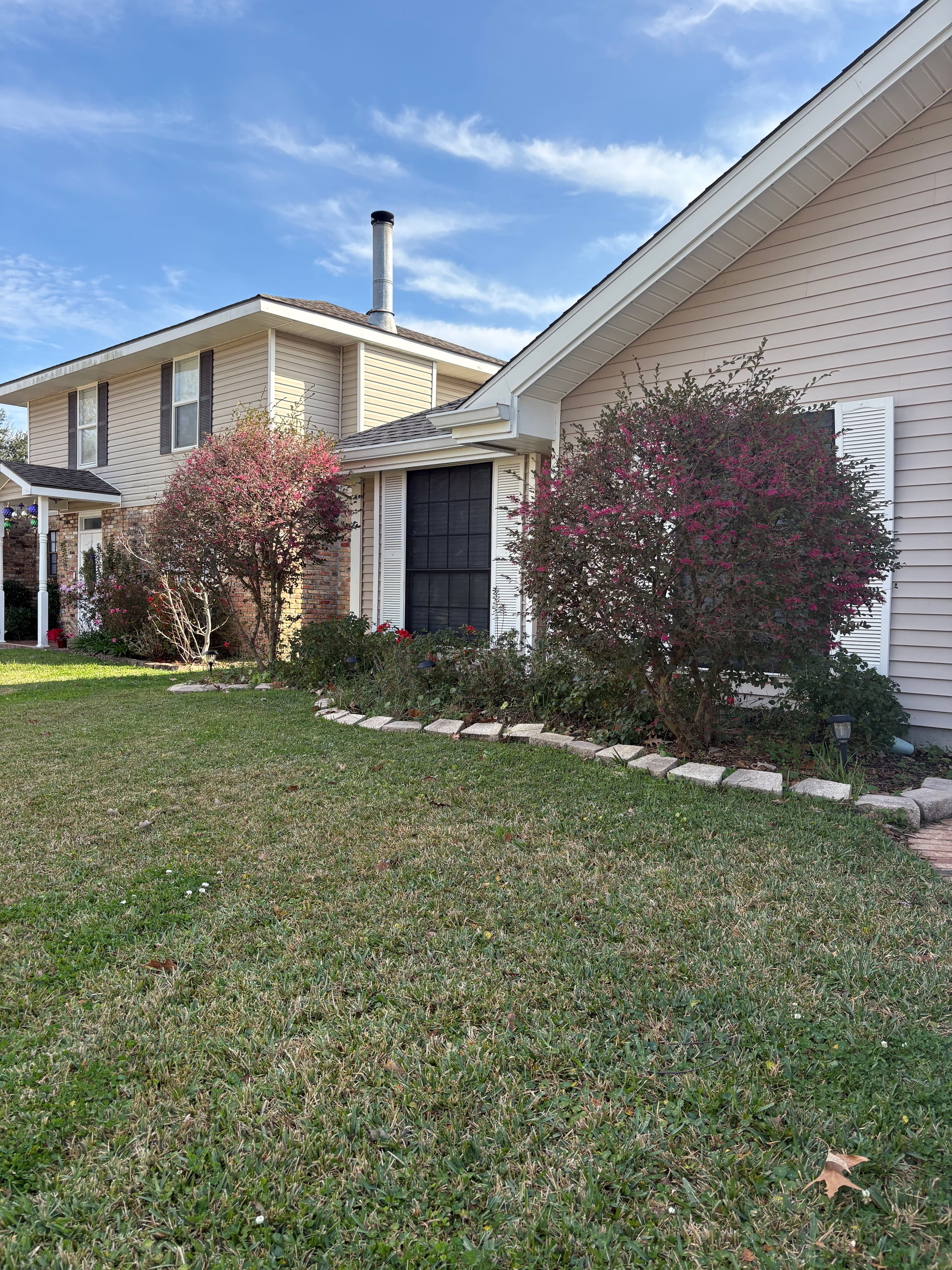 Project Garden Transformations for Vibrant Outdoor Living image