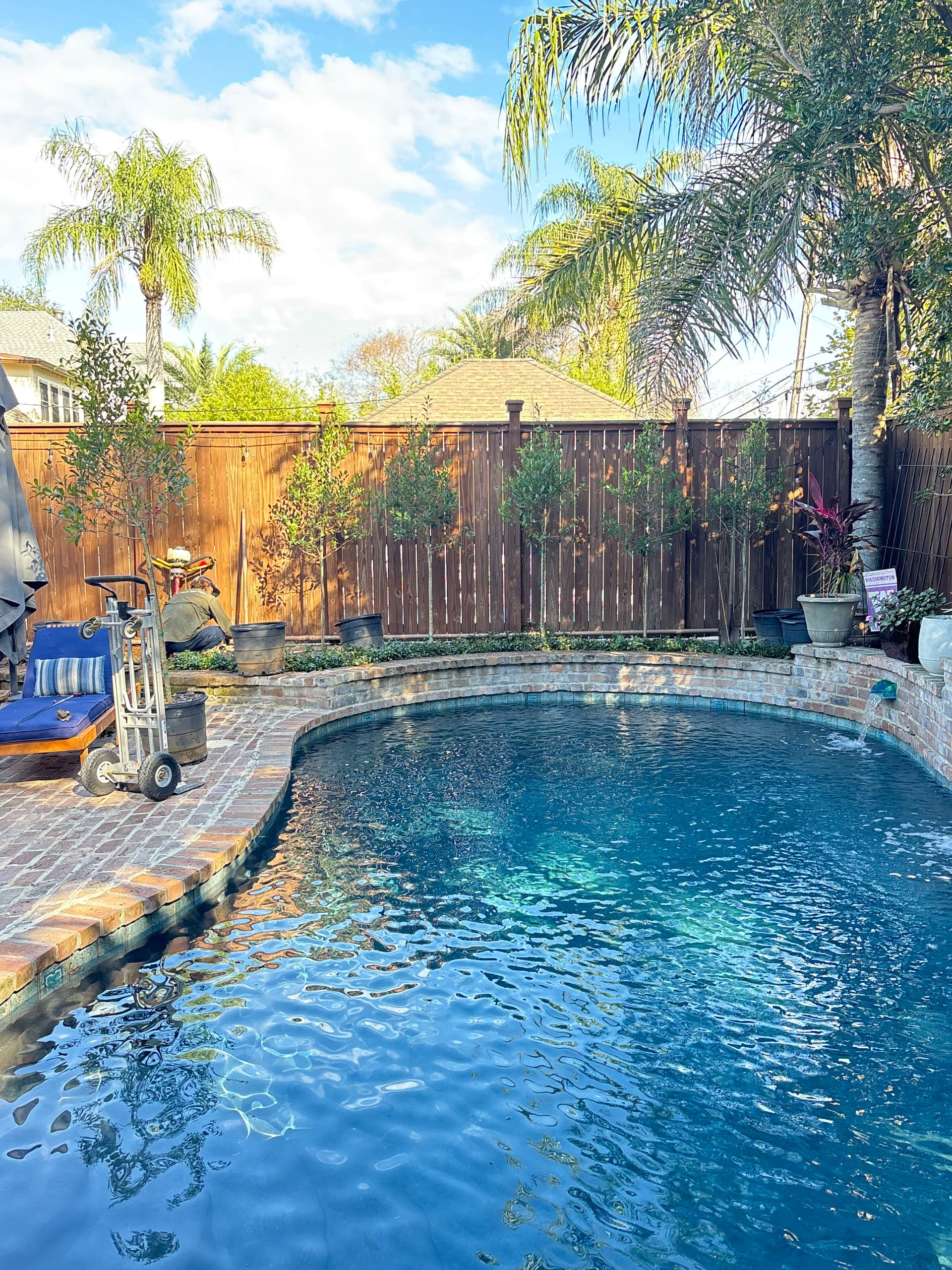 Backyard Oasis Upgrade with Holly Trees