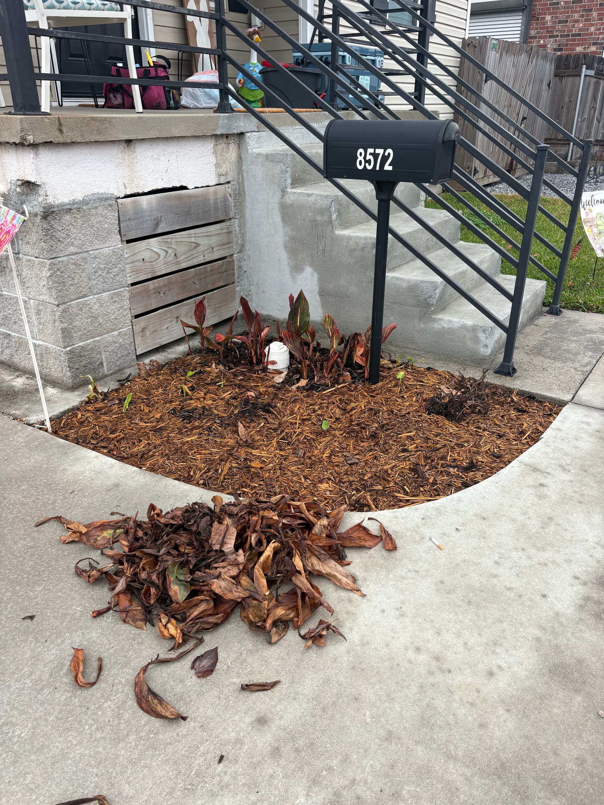 Turning Small Spaces into Leafy Oases