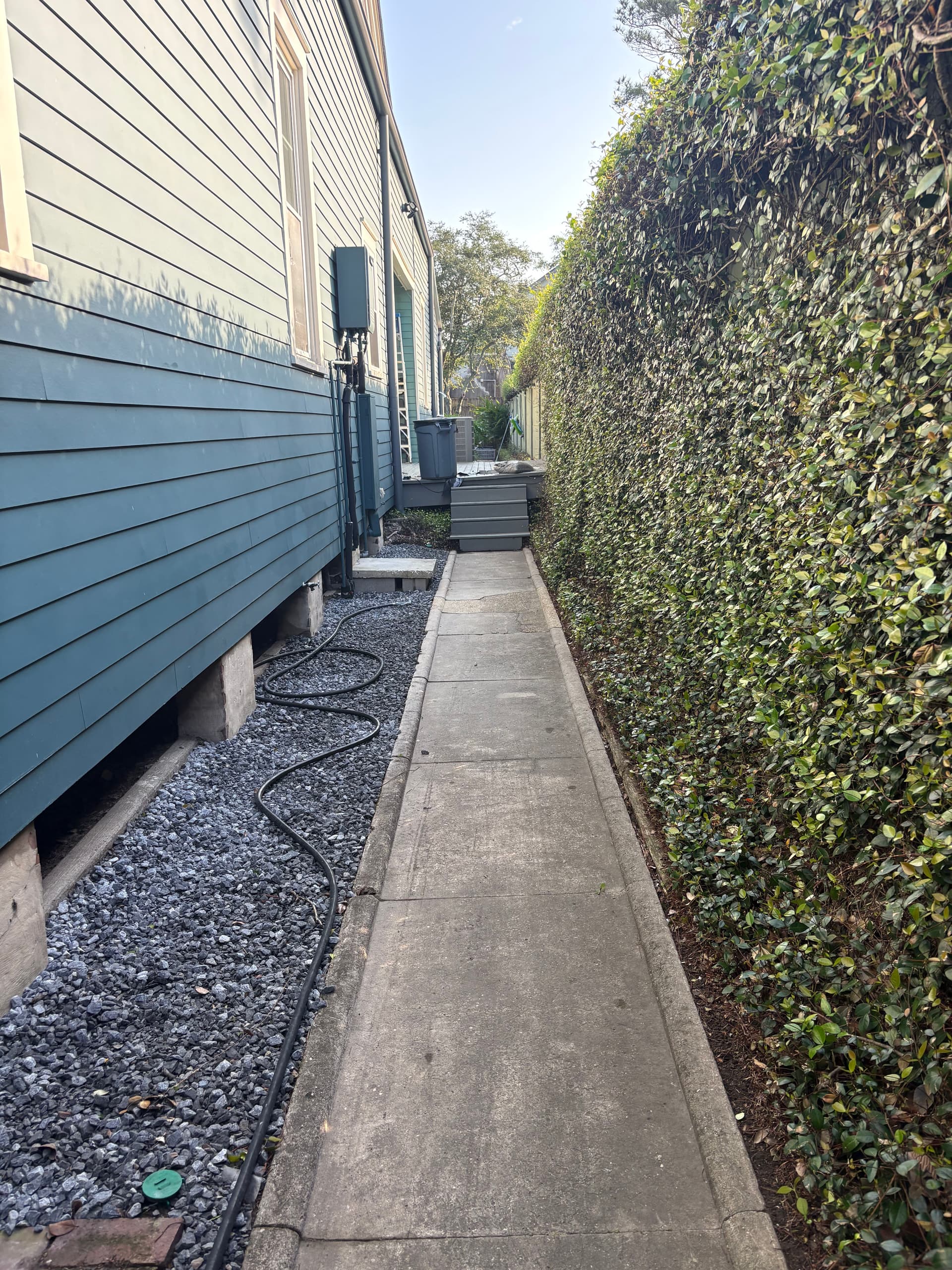 Gallery photos for Uptown Oasis Revamp With New Liriope Front Garden: Image #5