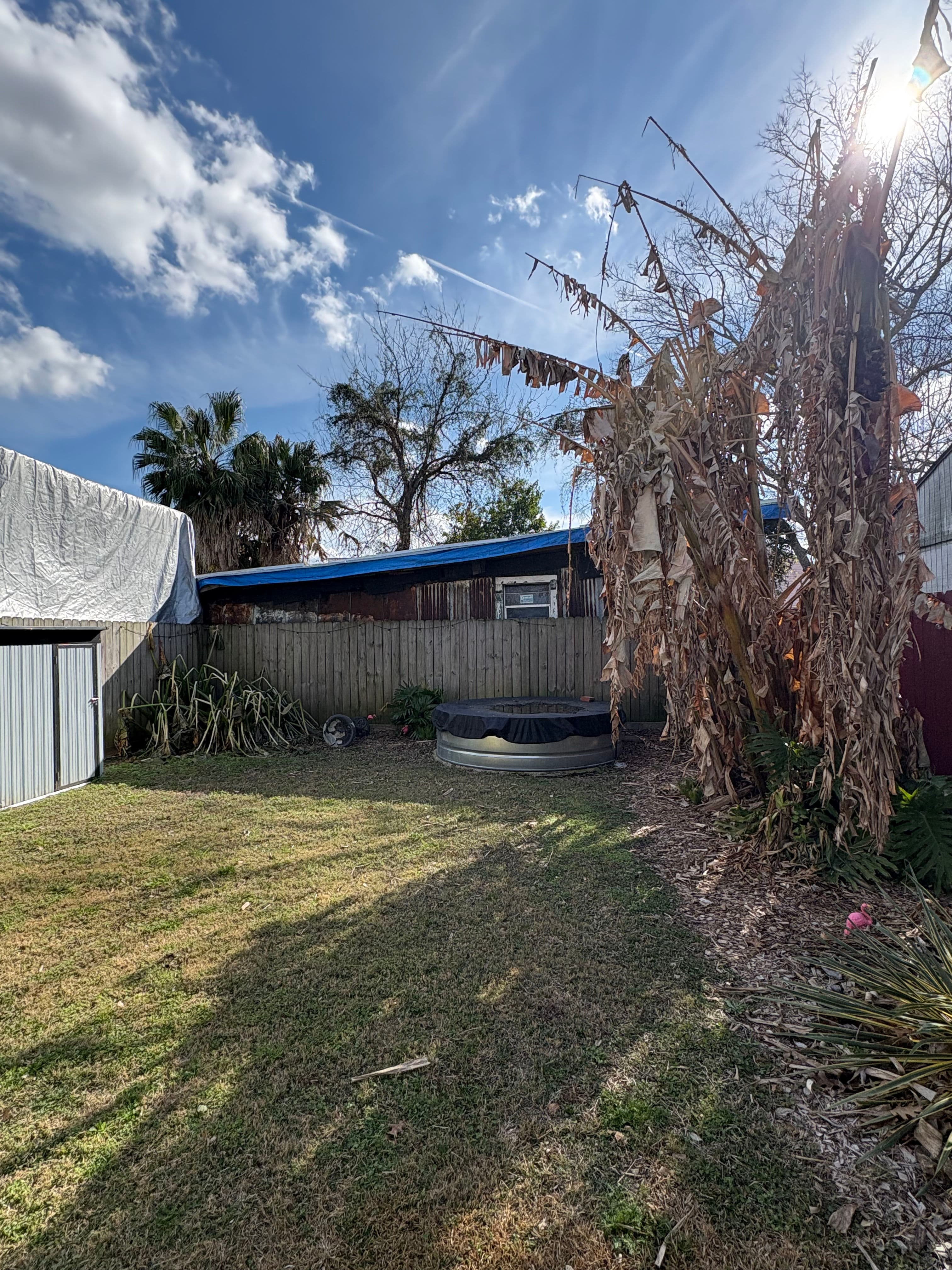 Project Backyard Winter Clean-Up by Nicky's Nice Plants image