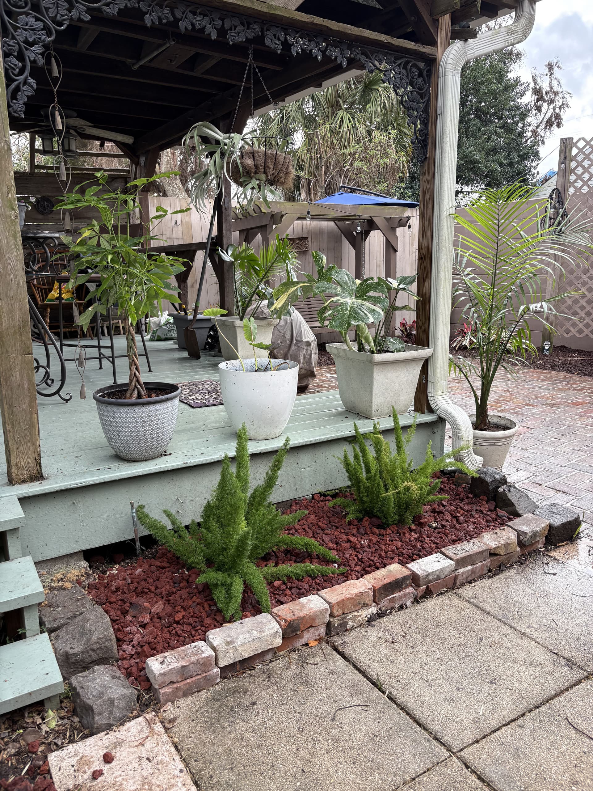 Gallery photos for Bywater Courtyard Makeover from Cluttered to Curated: Image #7