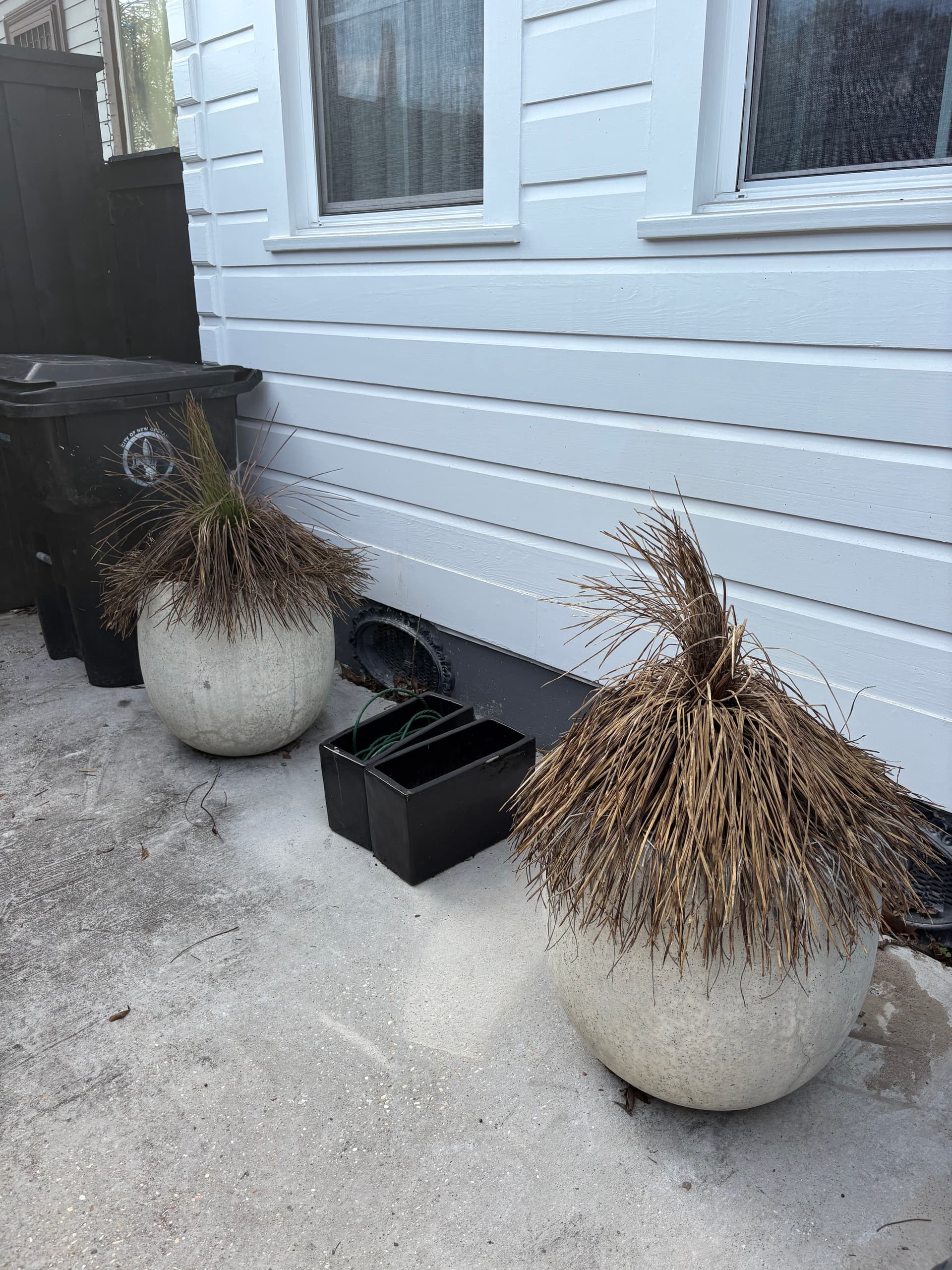 Garden Revamp with Nicky’s Nice Plants