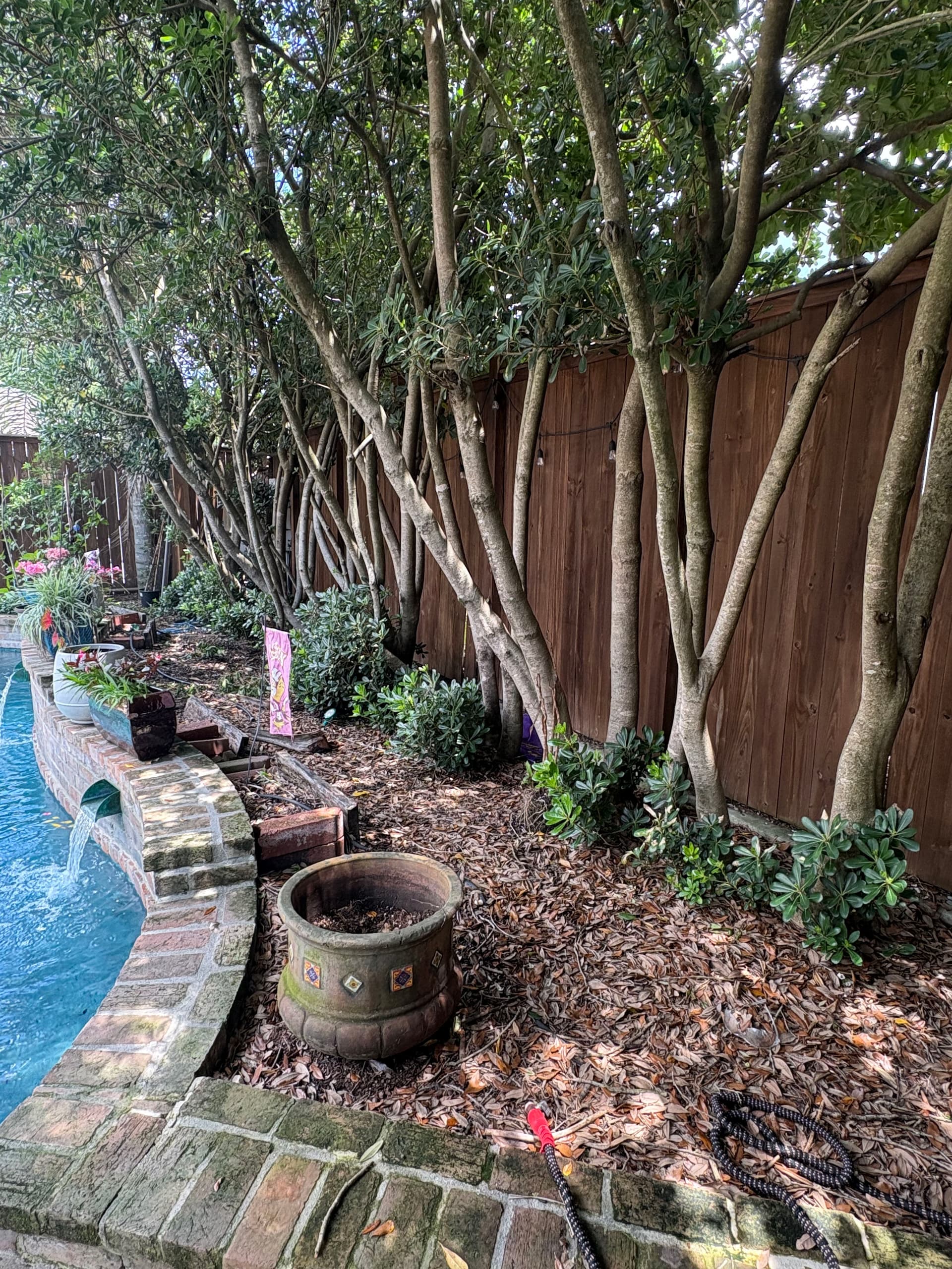 Gallery photos for Backyard Garden Refresh at a Lakeview Home: Image #4