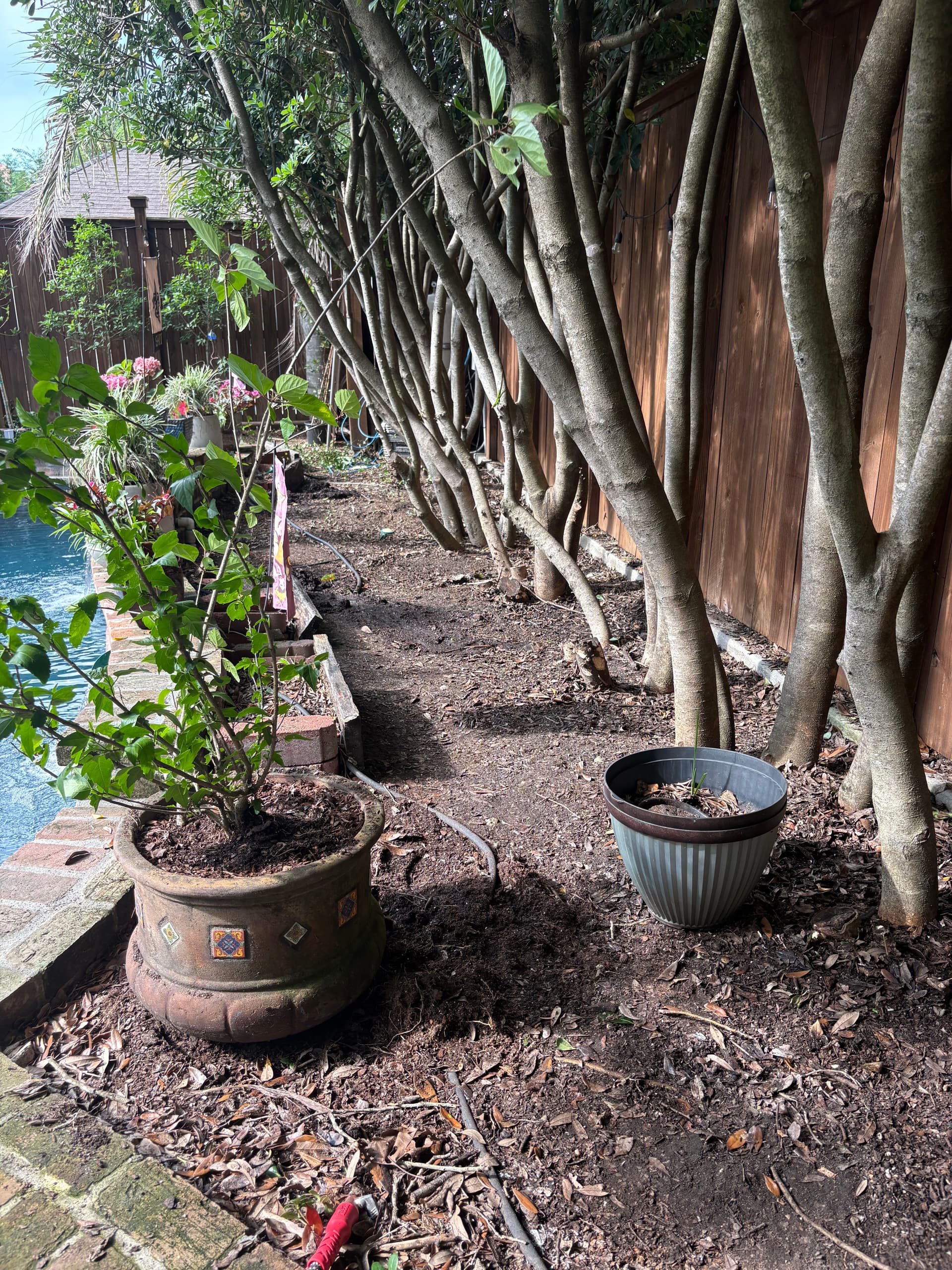 Gallery photos for Backyard Garden Refresh at a Lakeview Home: Image #5