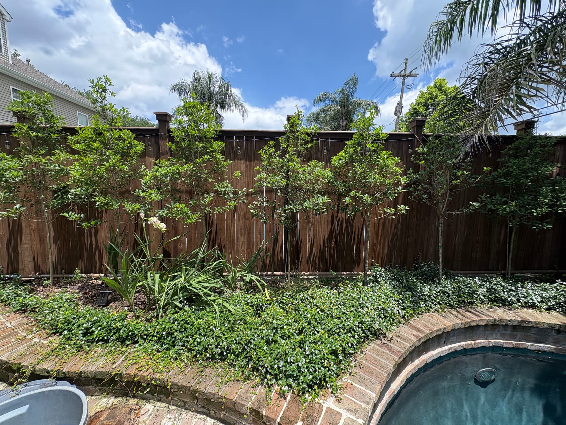 Gallery photos for Backyard Garden Refresh at a Lakeview Home: Image #6