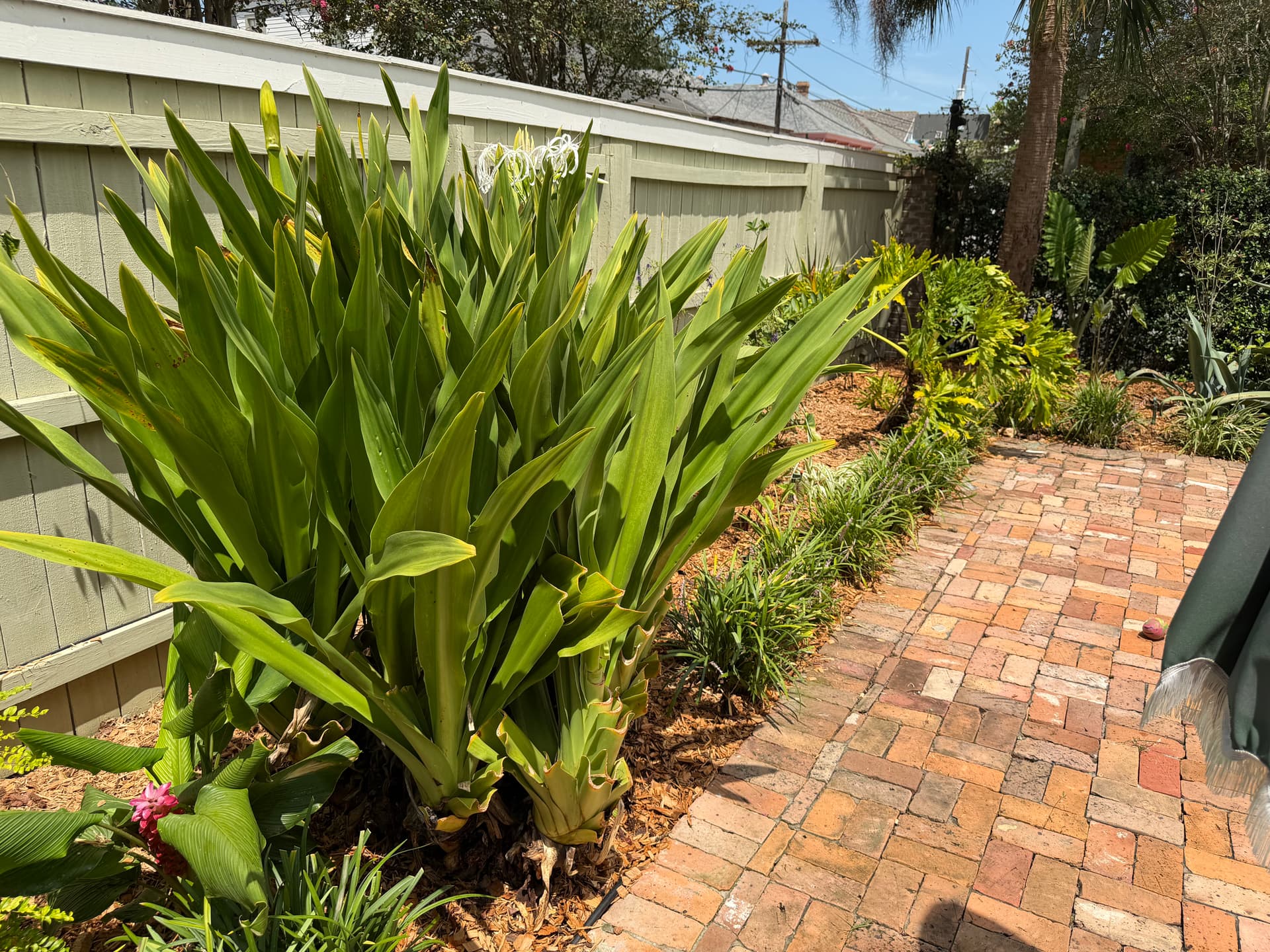 Gallery photos for Phase One Is In the Ground at This Bywater Compound: Image #3