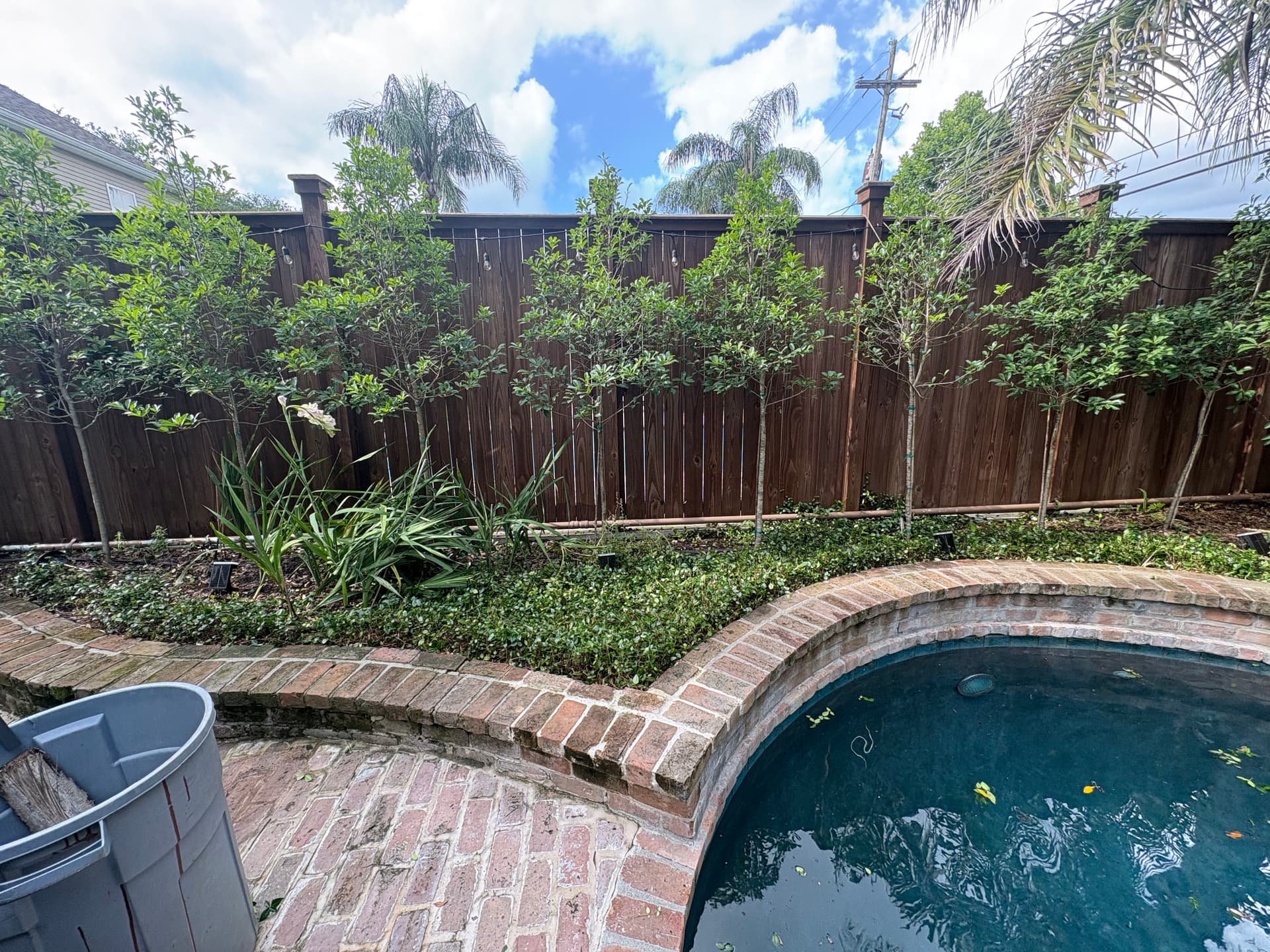 Gallery photos for Backyard Garden Refresh at a Lakeview Home: Image #7