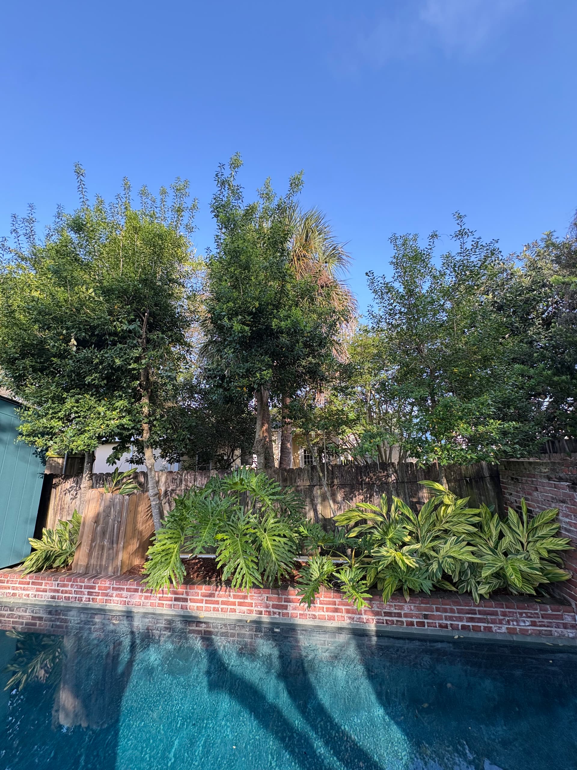 Gallery photos for Uptown Oasis Revamp With New Liriope Front Garden: Image #7