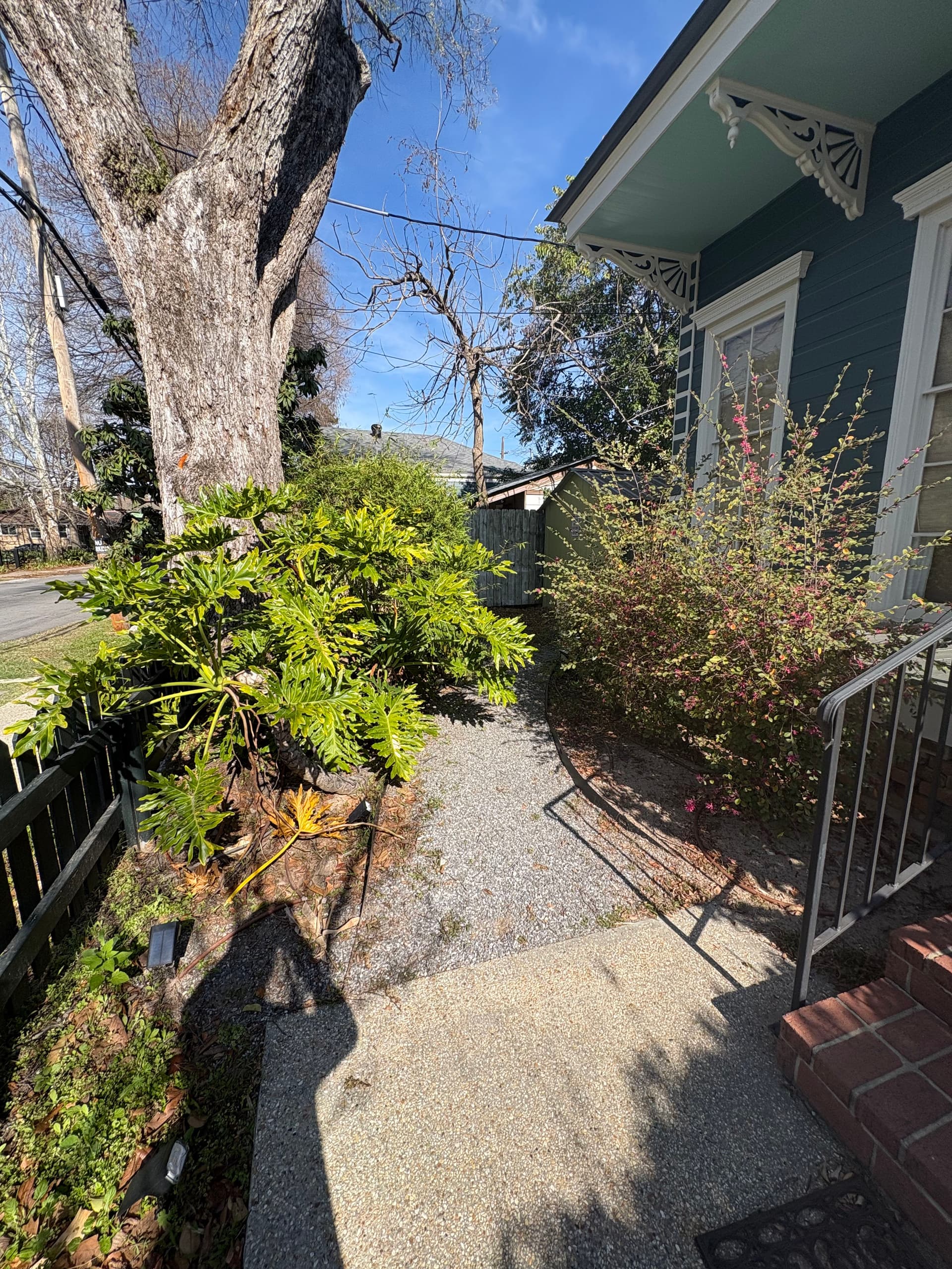 Uptown Oasis Revamp With New Liriope Front Garden image