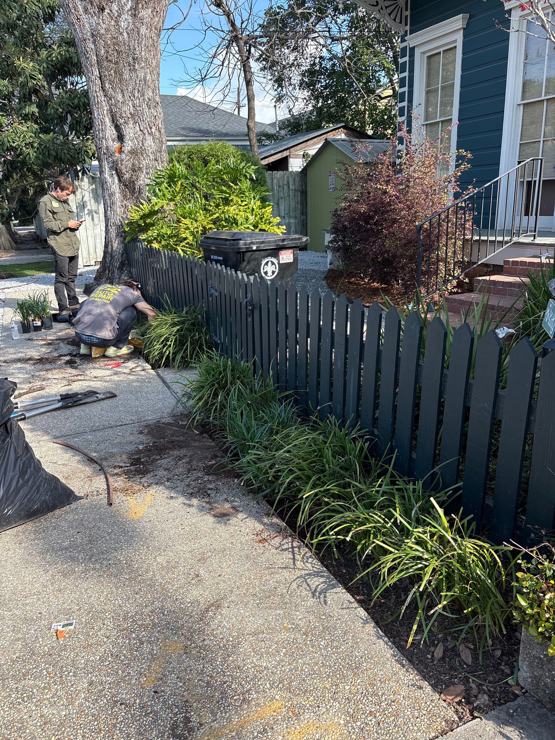 Gallery photos for Uptown Oasis Revamp With New Liriope Front Garden: Image #6