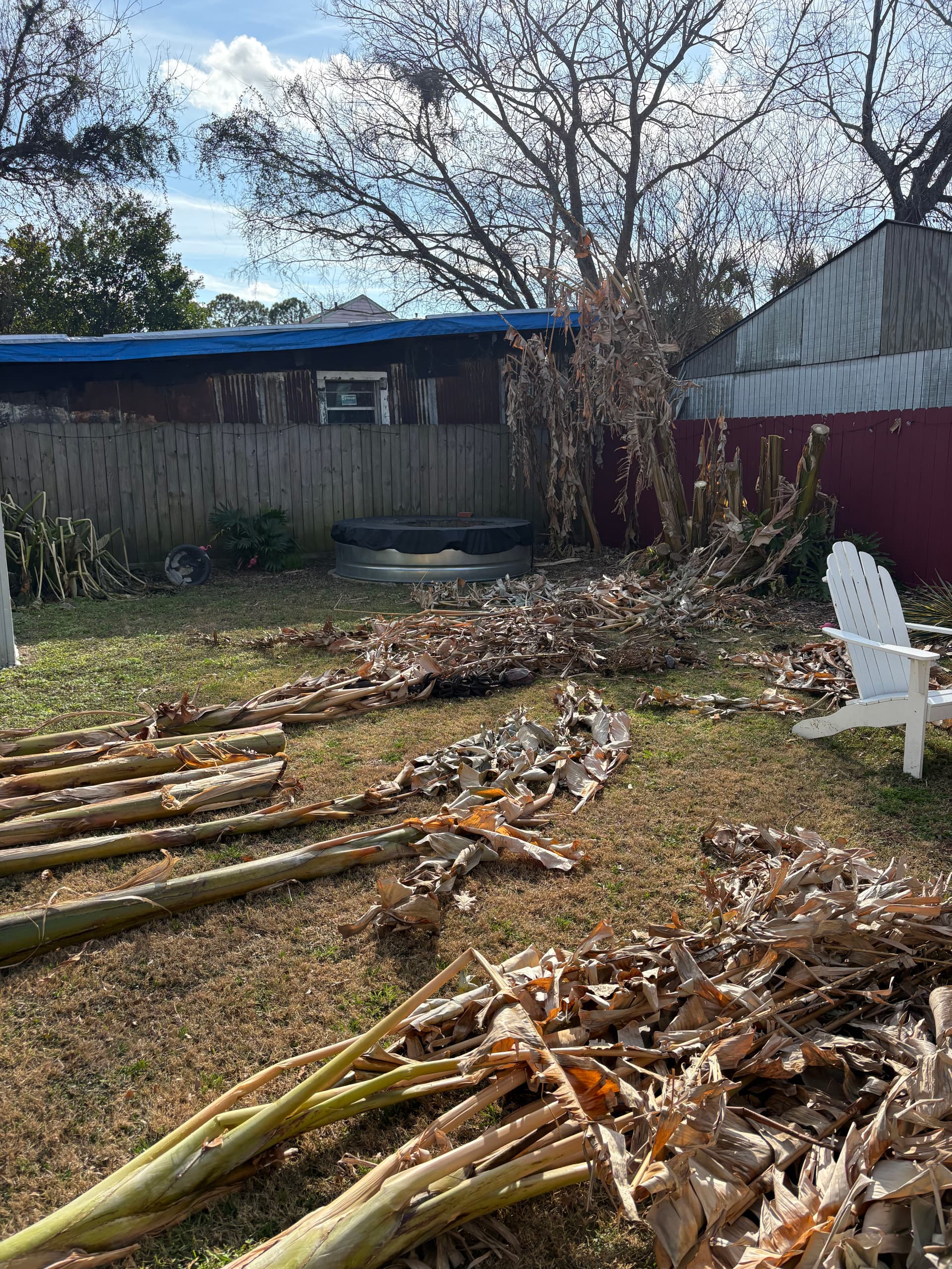 Gallery photos for Backyard Winter Clean-Up by Nicky's Nice Plants: Image #1