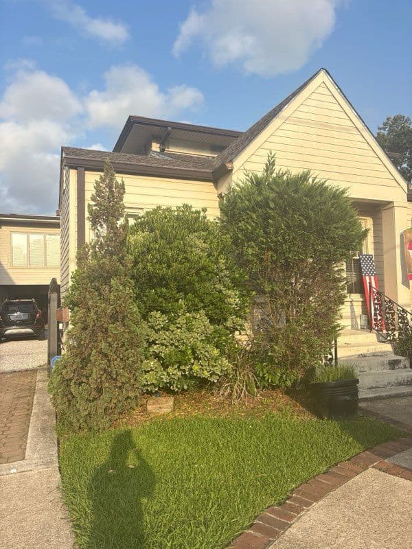 Old Metairie Garden Transformation by Nicky's Nice Plants
