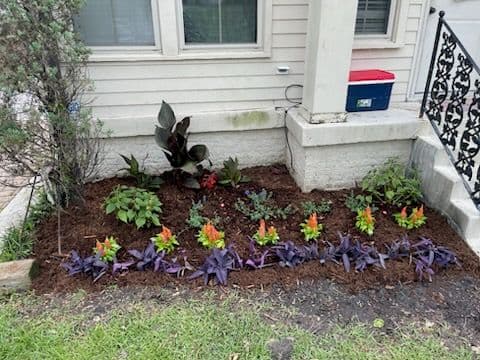 Old Metairie Garden Transformation by Nicky's Nice Plants