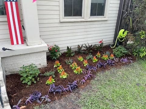 Old Metairie Garden Transformation by Nicky's Nice Plants