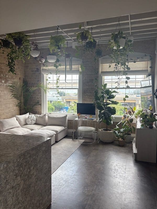 Gallery photos for Transform Your Space with Nicky's Nice Plants: Image #2