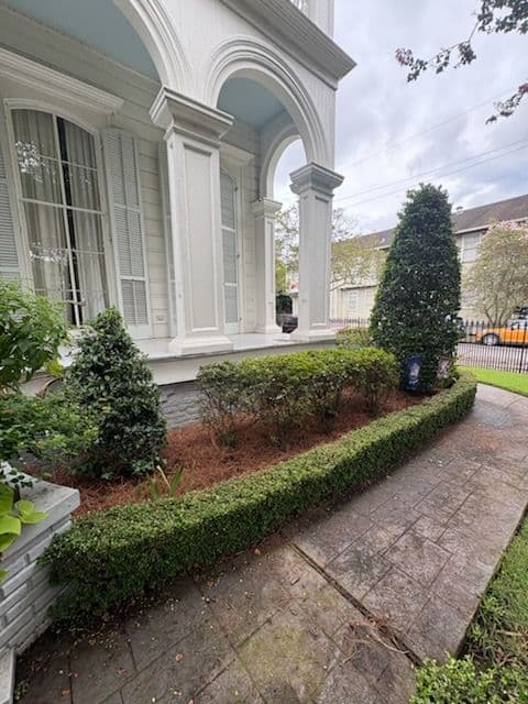 Transform Your Garden with Elegant Designs image