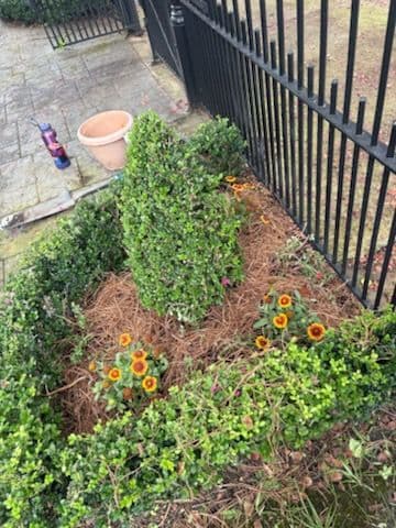 Gallery photos for Transform Your Garden with Elegant Designs: Image #2