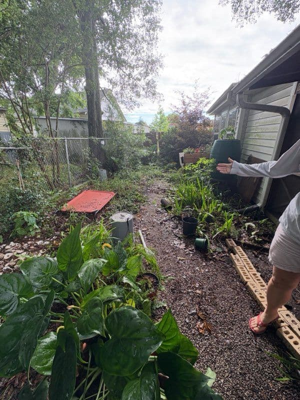 Gallery photos for Backyard Transformation with Drainage Fixes: Image #3