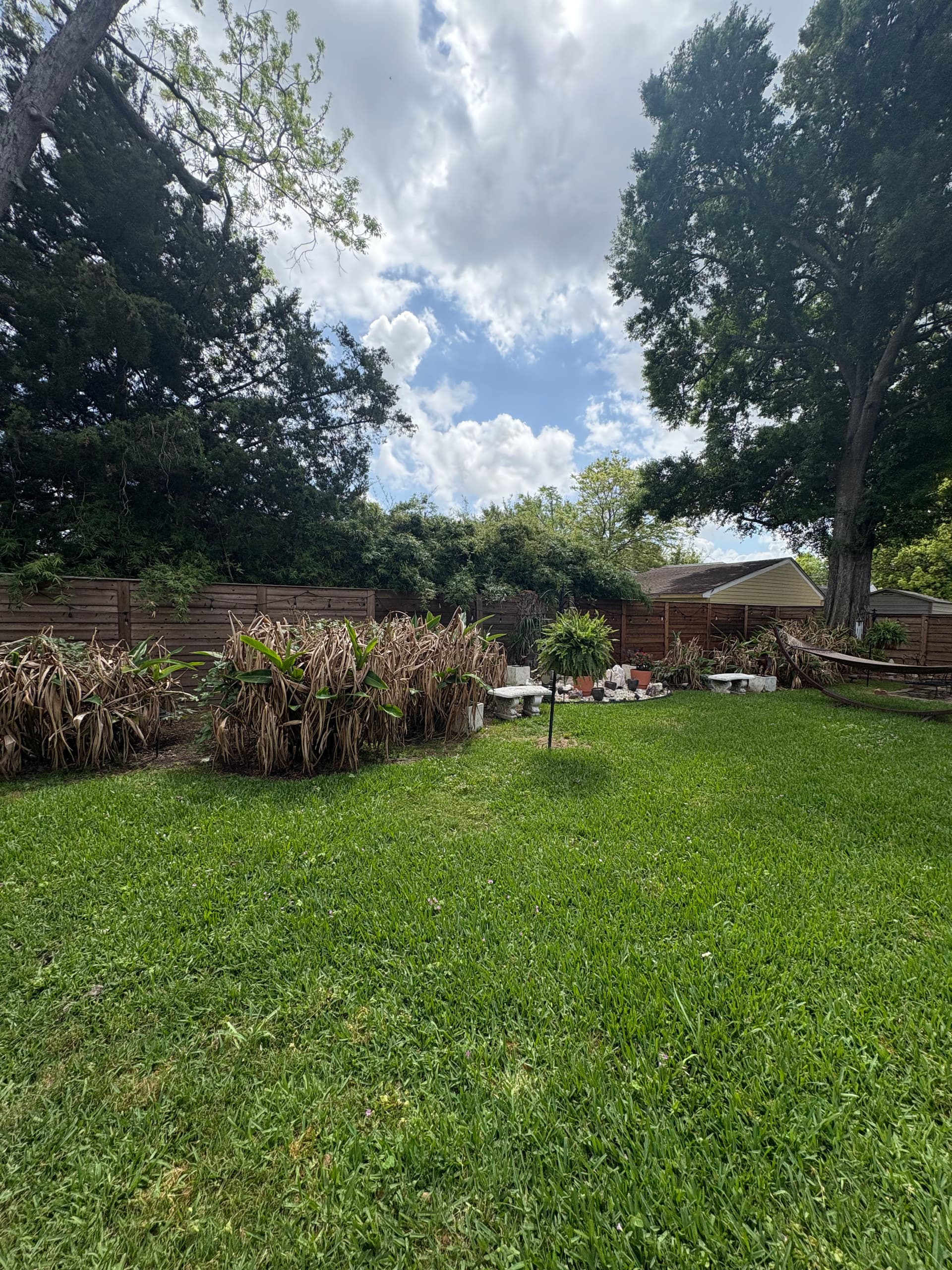 Gallery photos for Gentilly Backyard Gets a Patio, Pergola, and Garden Overhaul: Image #6