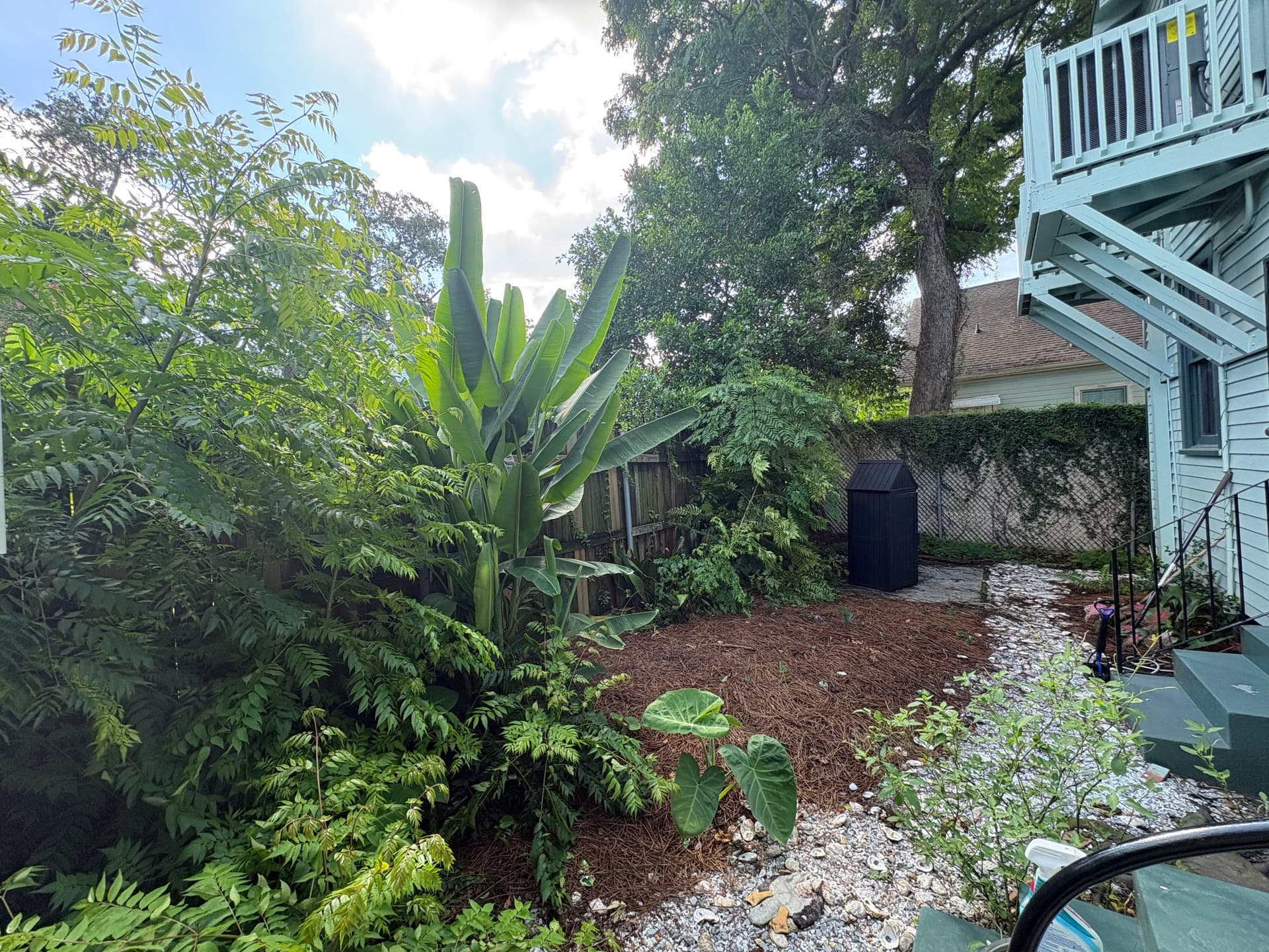 Uptown New Orleans Backyard Goes From Overgrown to Outdoor Retreat image