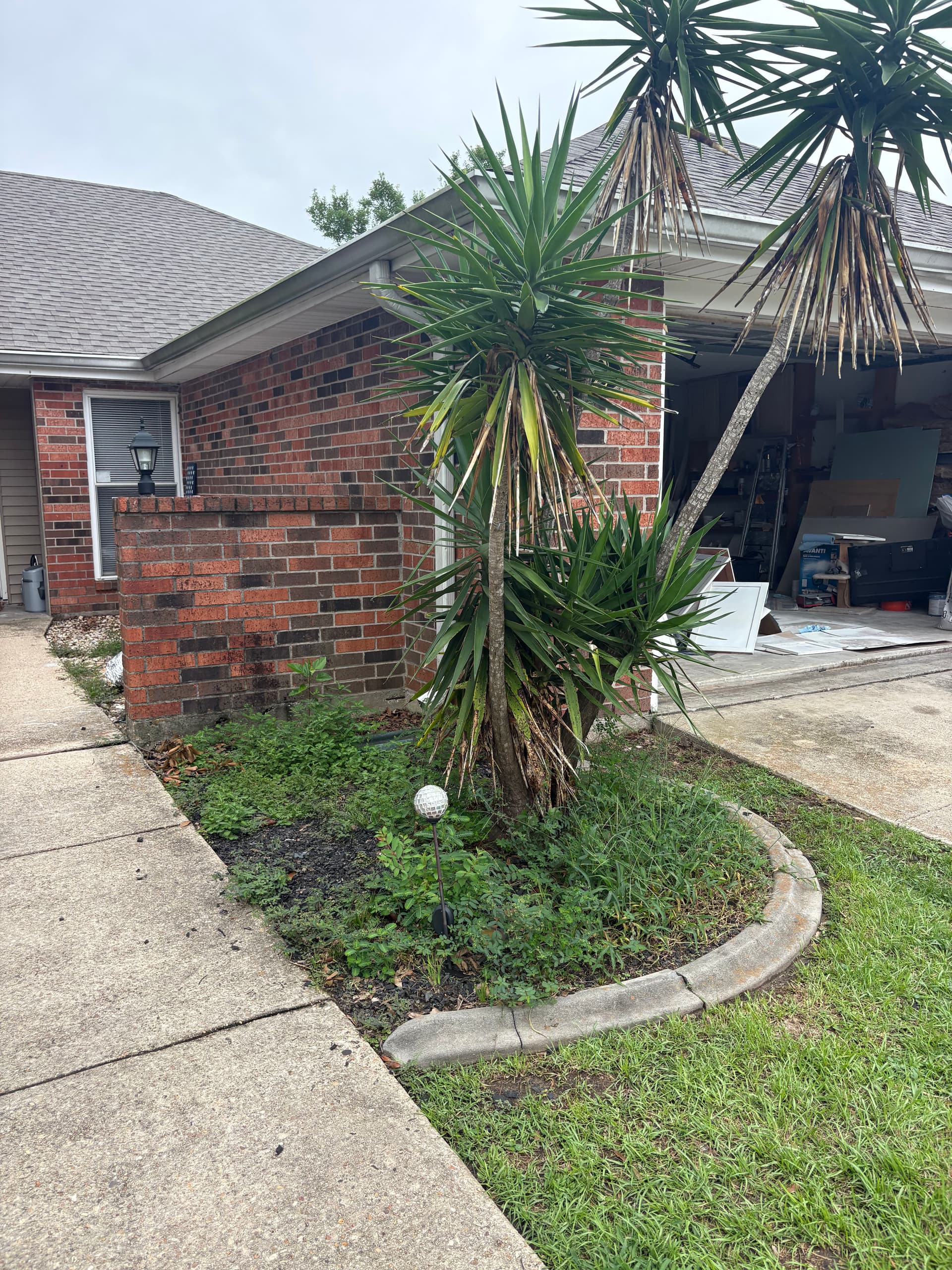 Gallery photos for Front Garden Bed Makeover in Woodlake Estates: Image #1