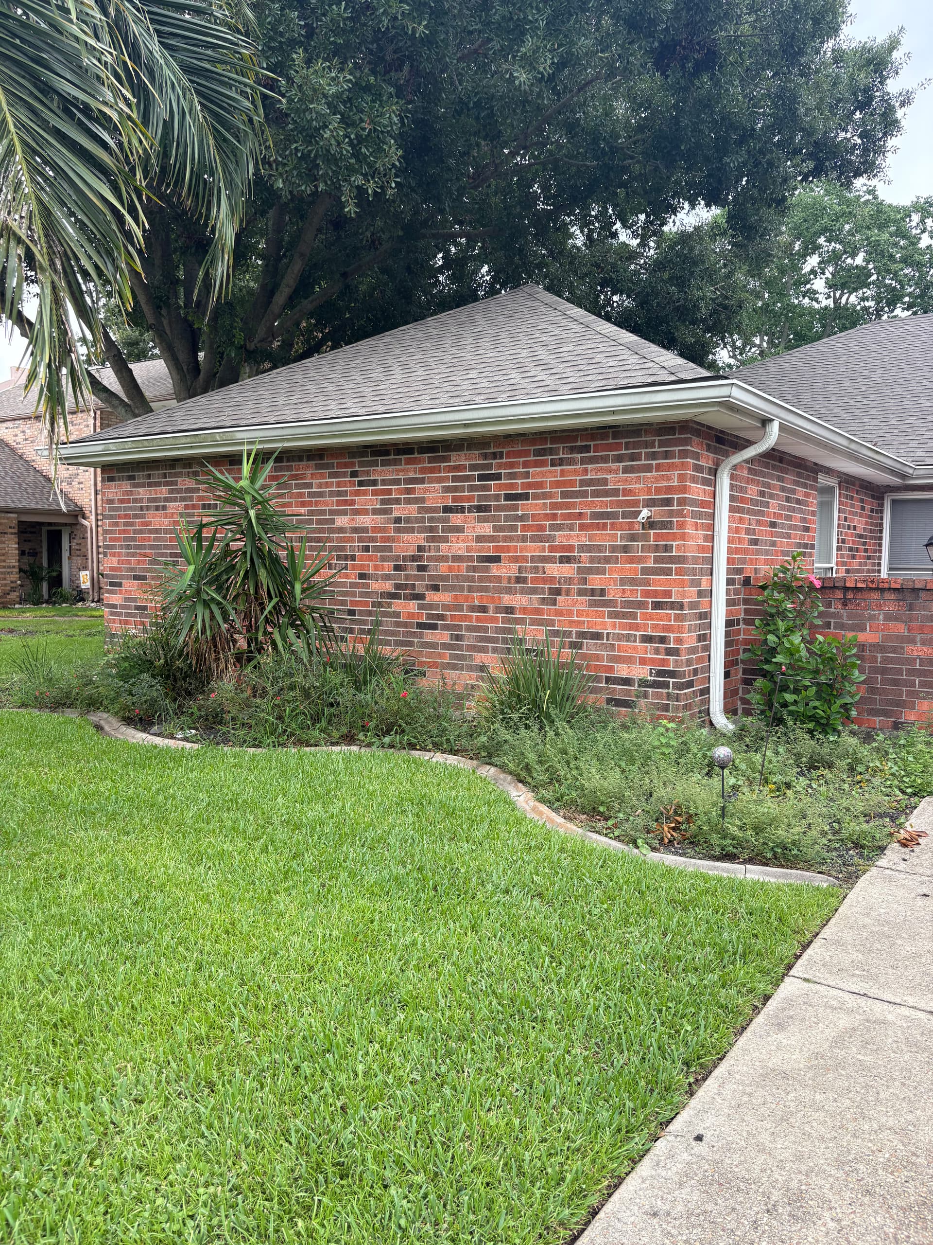 Front Garden Bed Makeover in Woodlake Estates image
