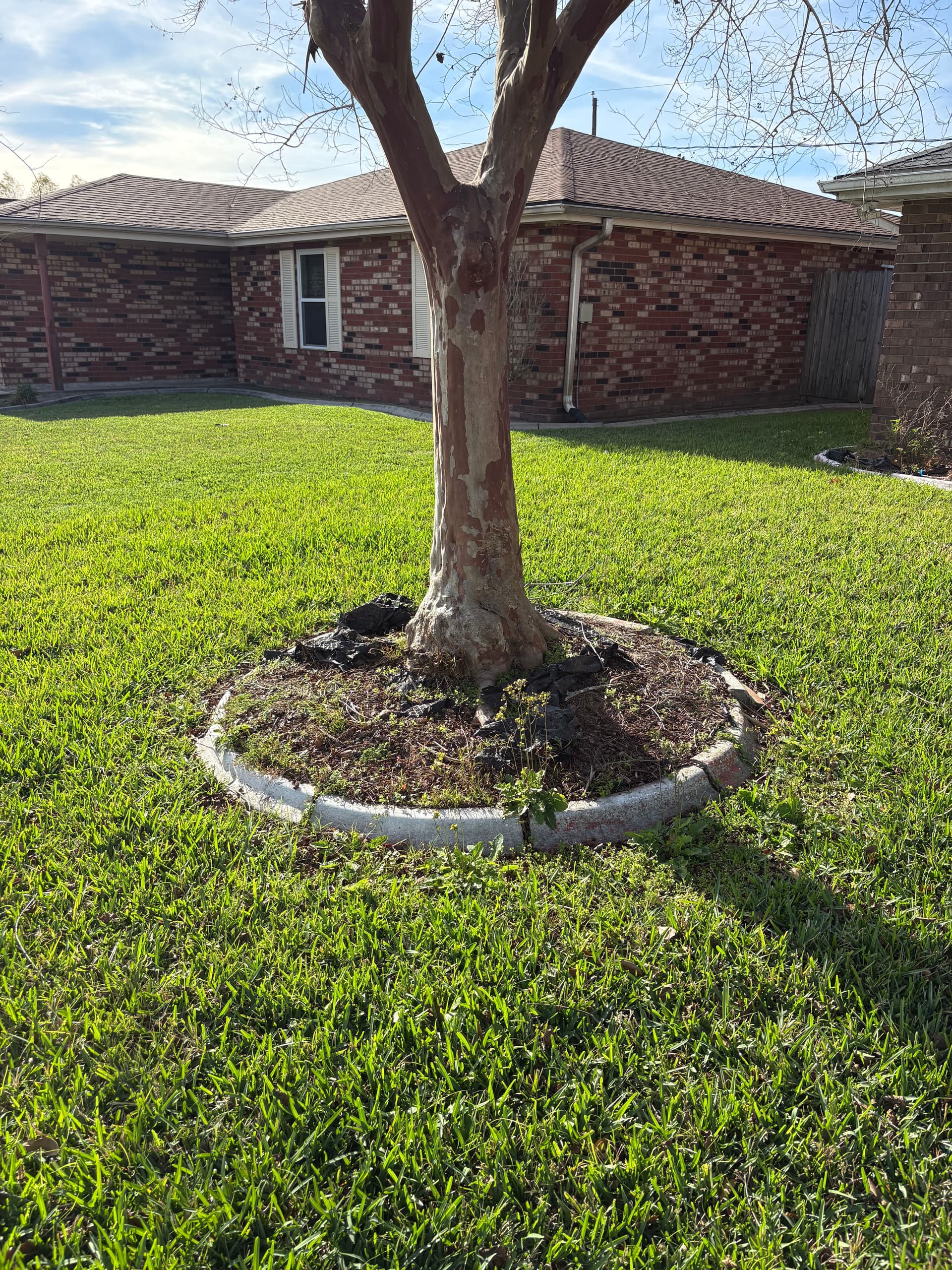 Gallery photos for Garden Transformations for Vibrant Outdoor Living: Image #5